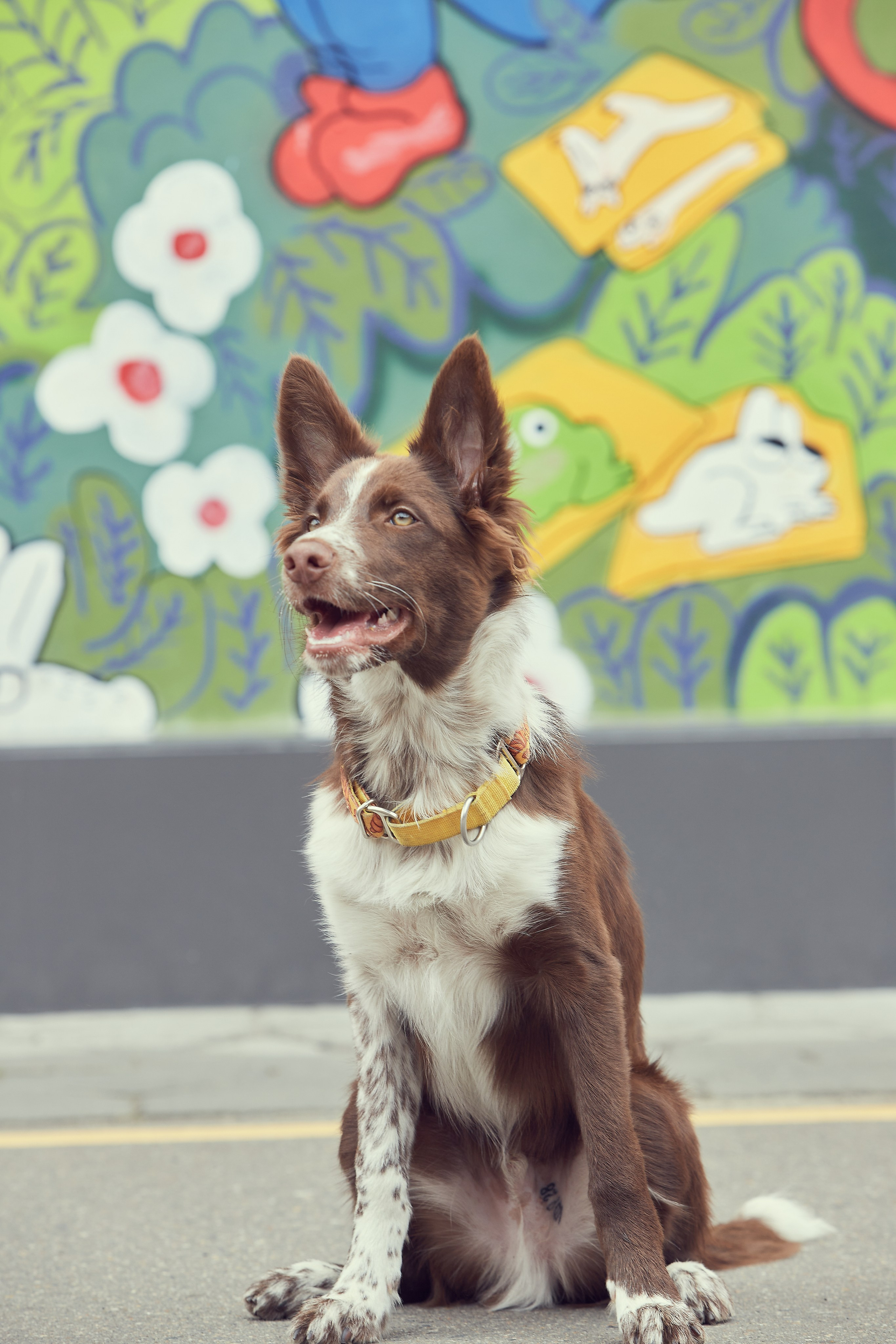 Портретная фотосессия Софы и питомцев. Екатерина Осипова — профессиональный фотограф в Москве
