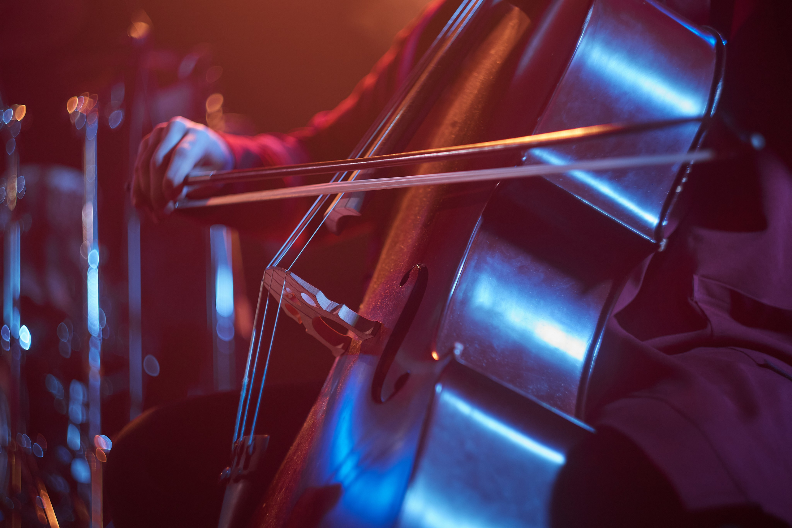 Репортаж концерта «Земля Легенд». Екатерина Осипова — профессиональный фотограф в Москве