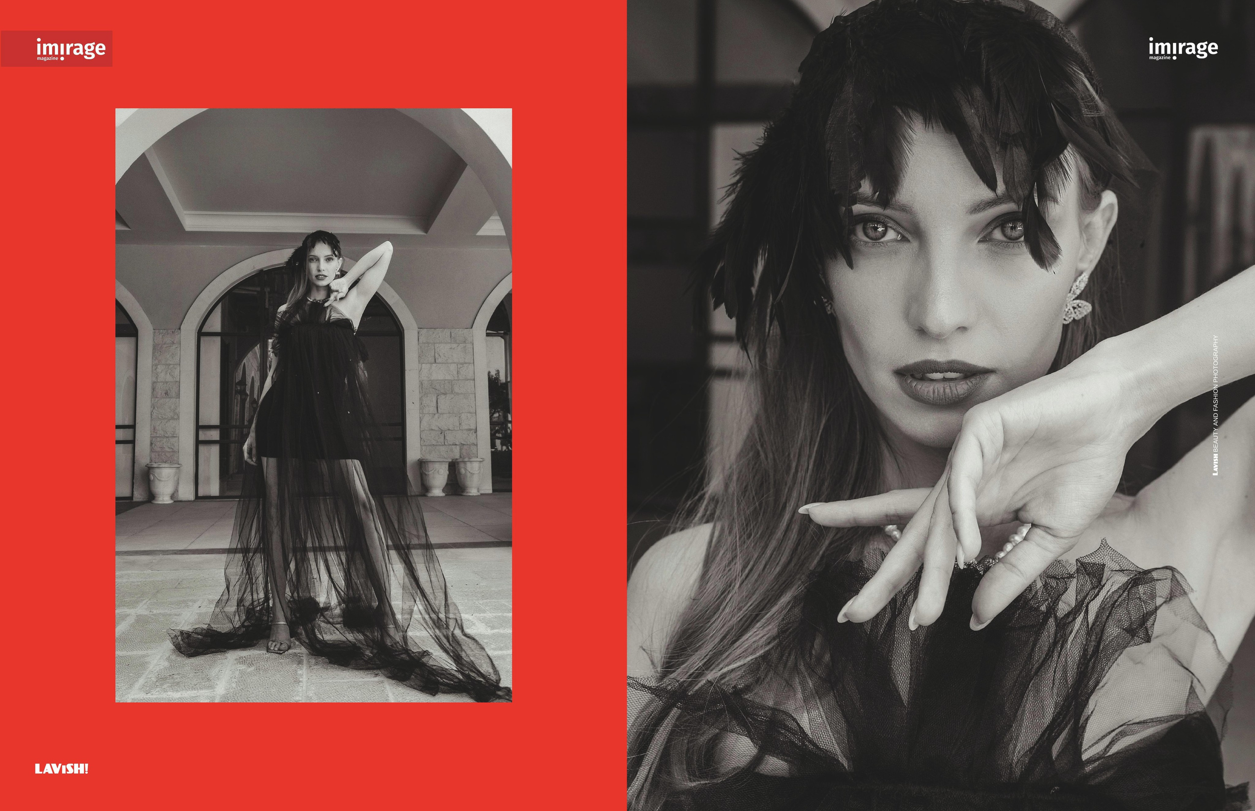 Черный лебедь. Фотограф Тимофеева Любовь