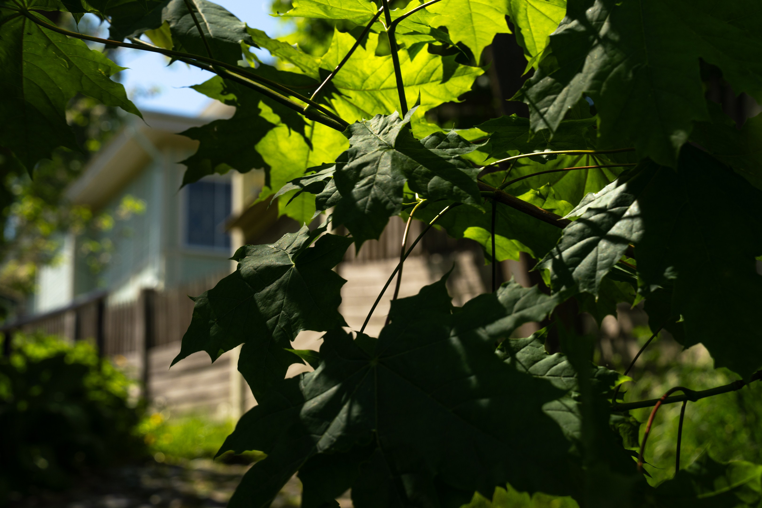 Плёс. ПОБУДЬ ЗДЕСЬ И ЦЕЛЕЕ БУДЕТ ЭТОТ МИР