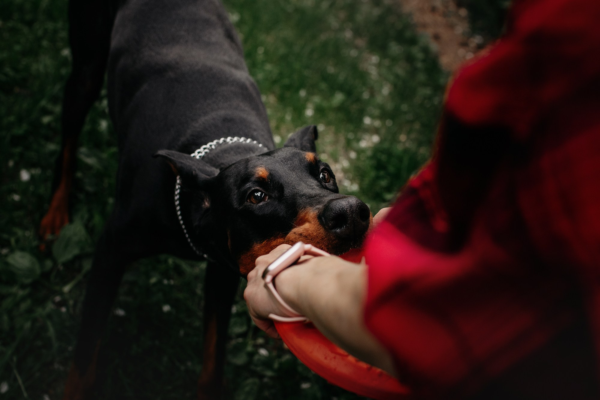 Вера и Люк. Фотограф Наталья Потапова