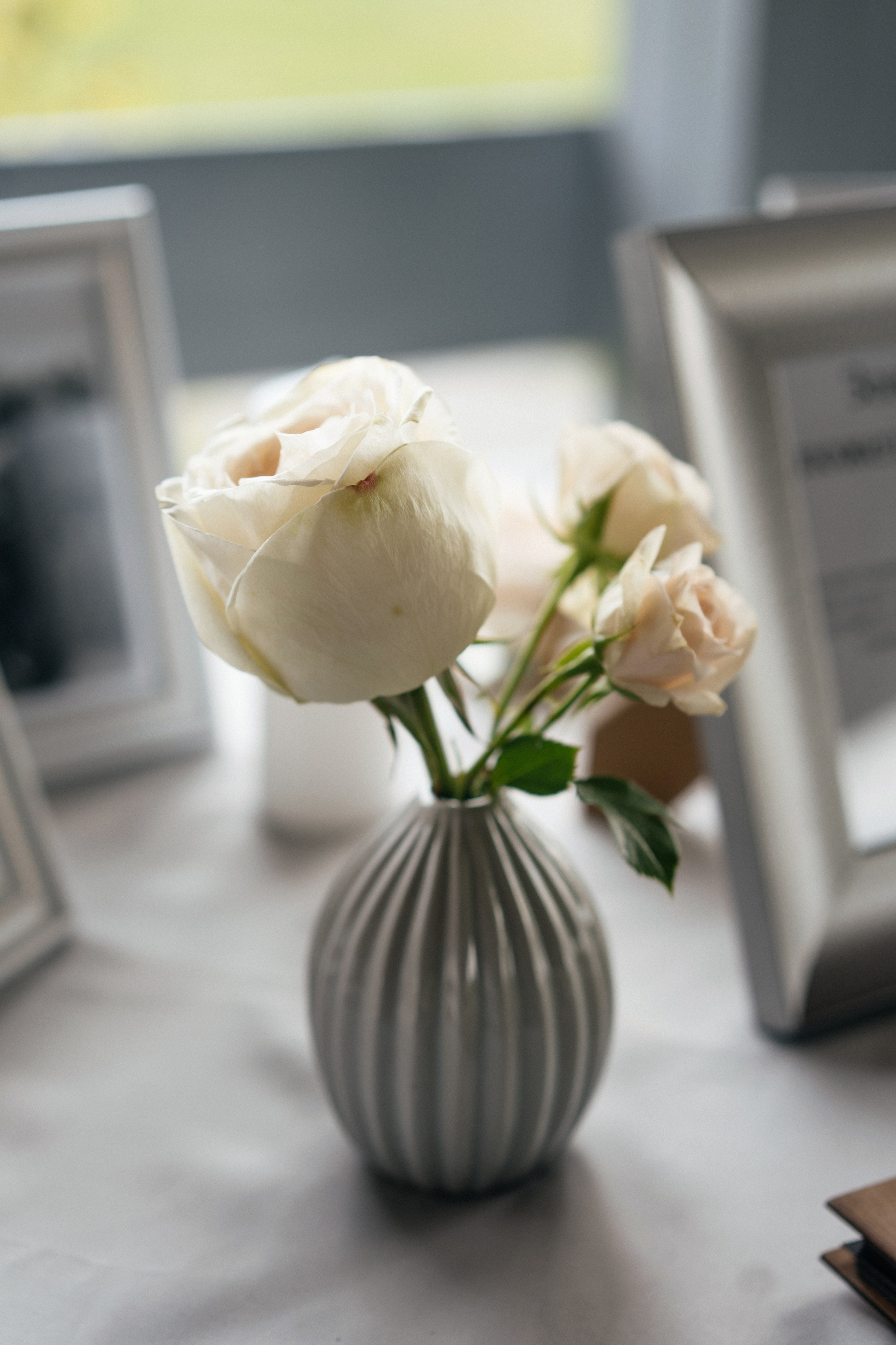 Милена & Павел. Свадебная фото и видеосъемка в Гомеле