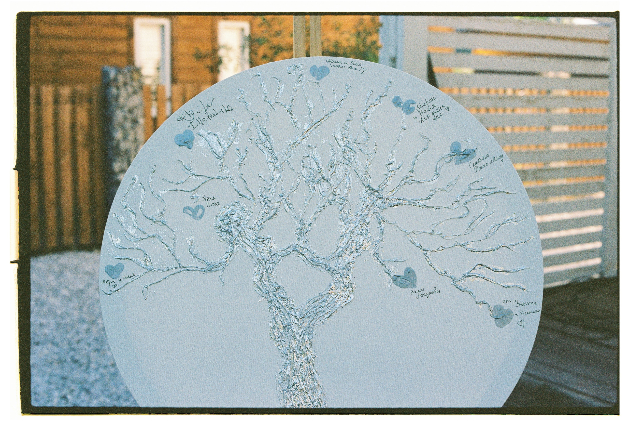 Плюс тридцать градусов на лужайке. Фотограф Андрей Куськало