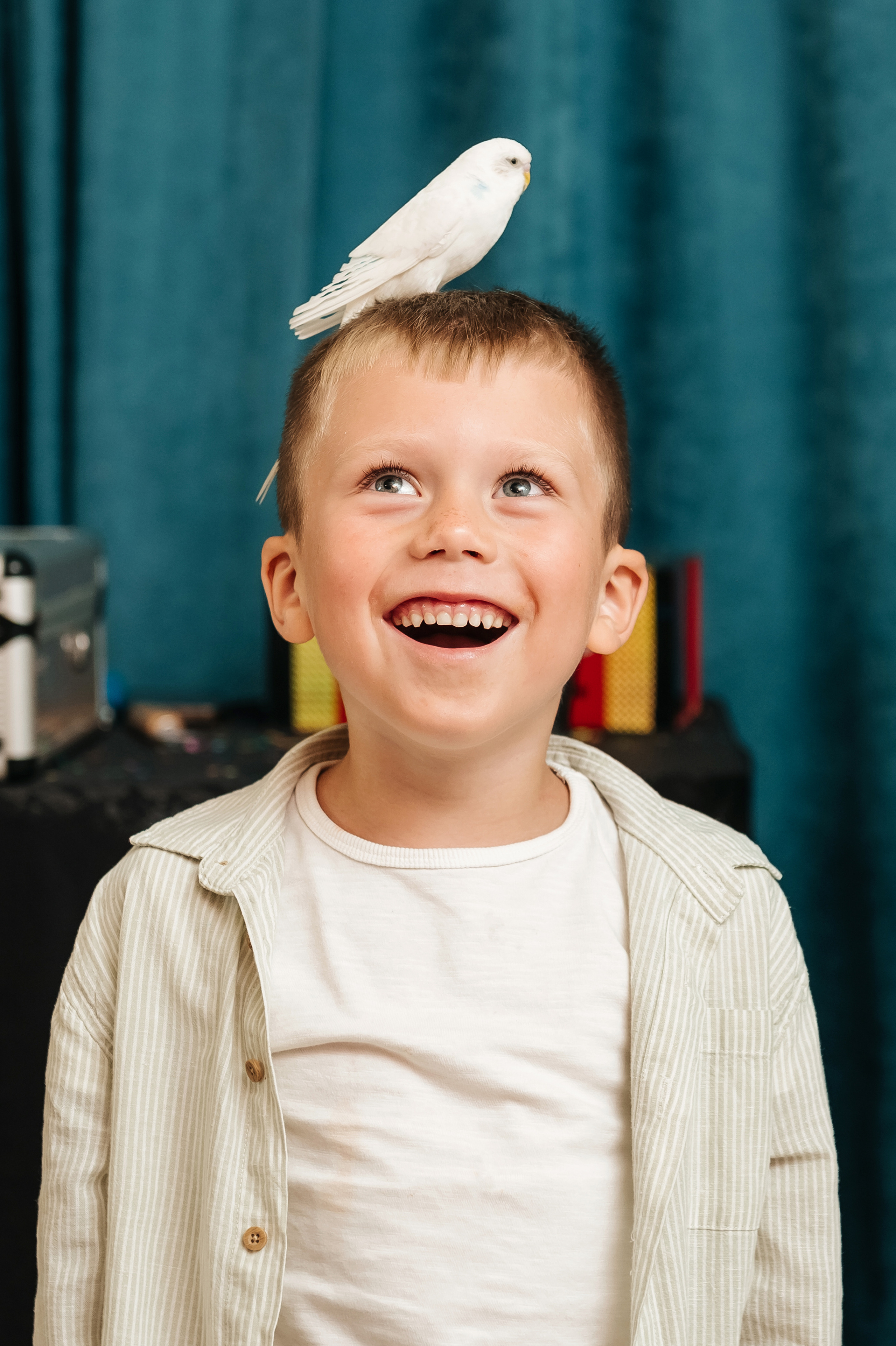 Тимофею 6. Главная