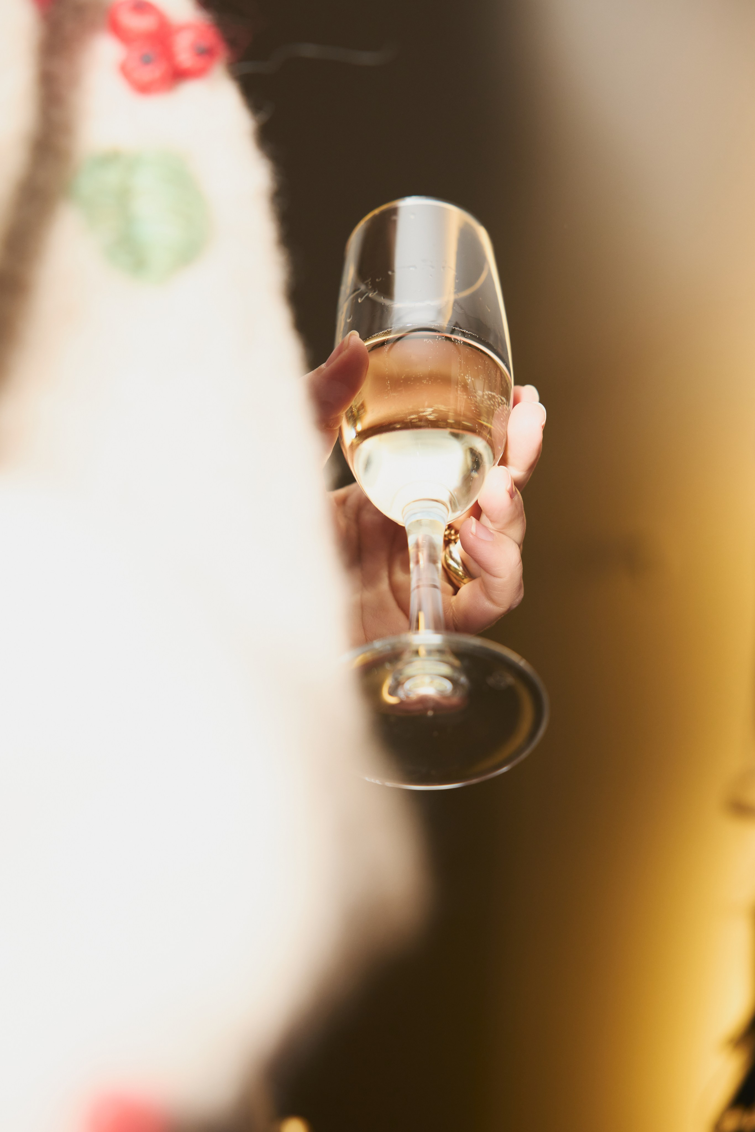 WOMAN WINGS FW 25|26 фото. Профессиональный фотограф Татьяна Евглевская