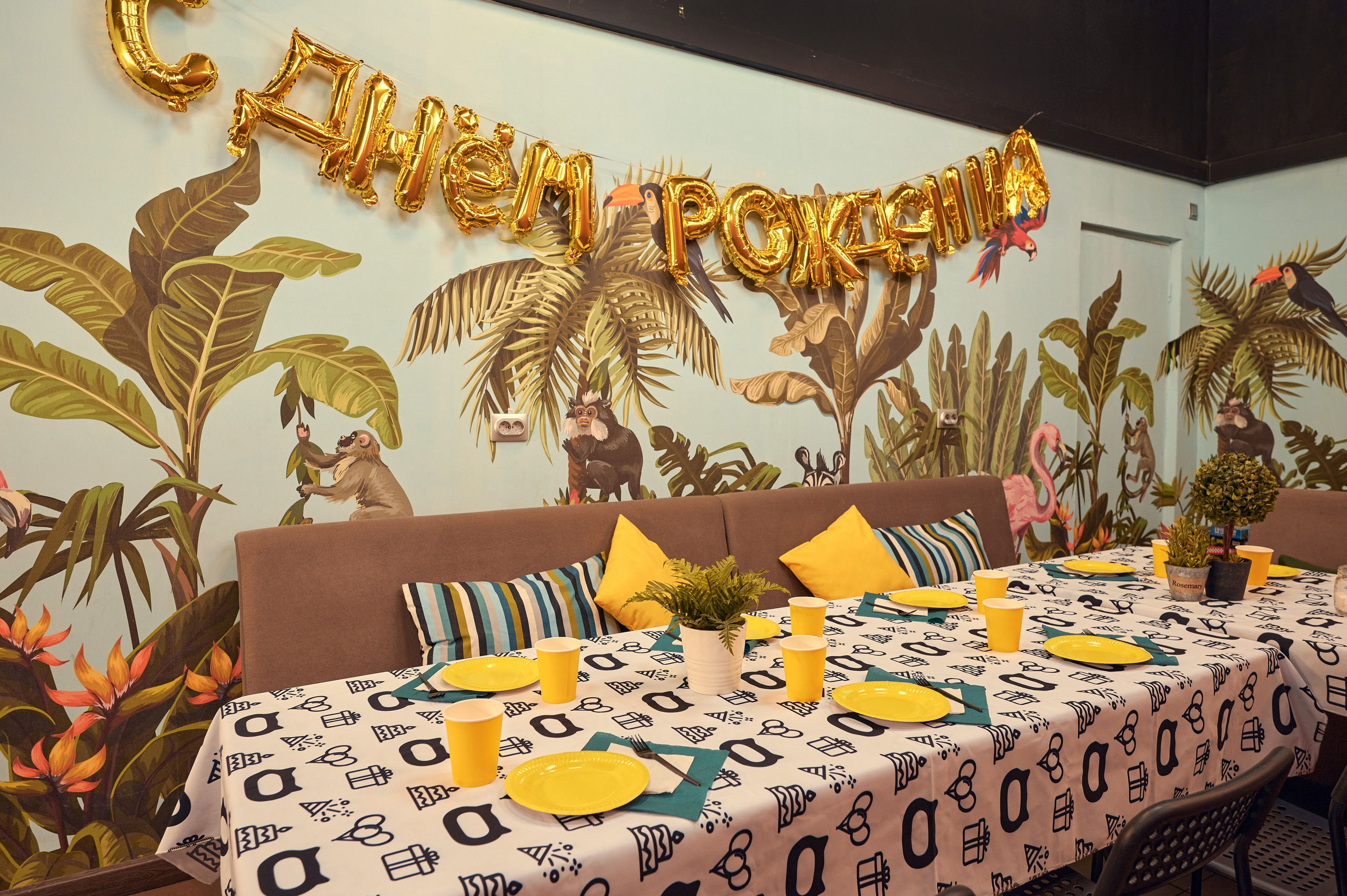 Чеширский Коd — 5 локаций. Фотограф Яковлев Роман — Красноярск