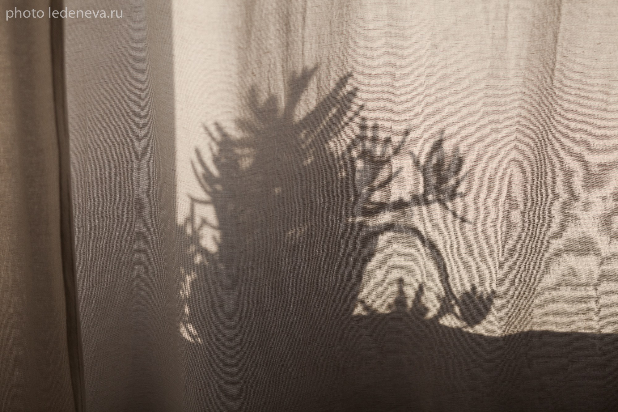 Профессиональный портрет. Анна Леденева Фотограф