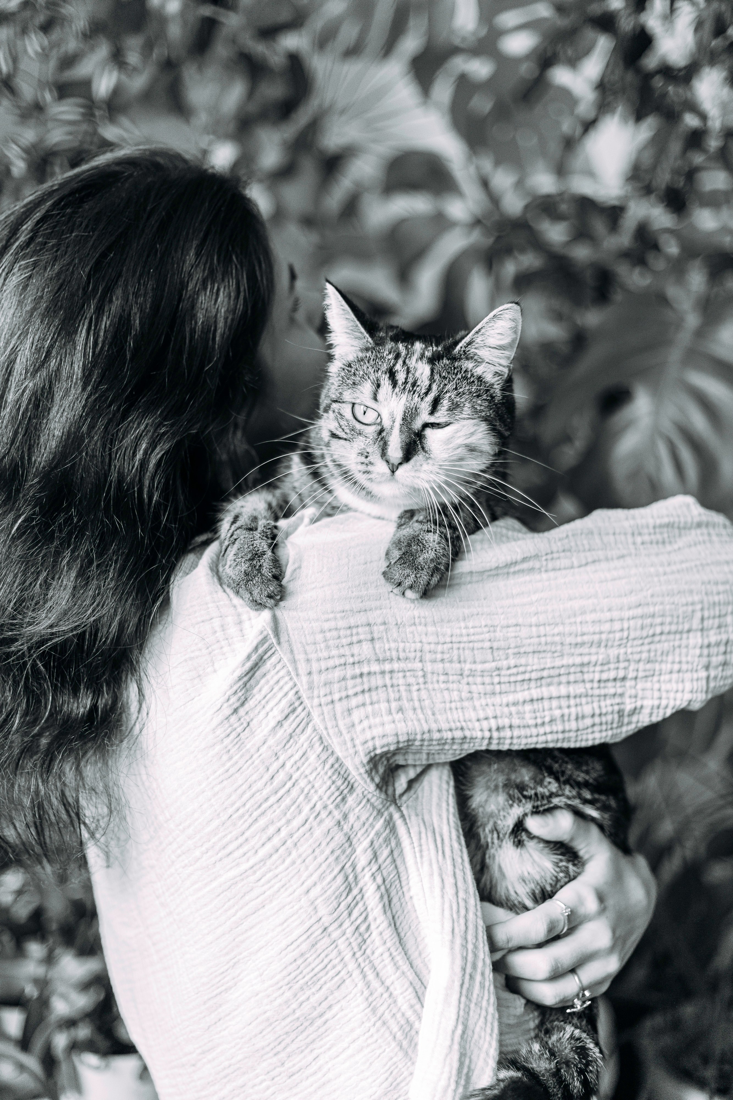 ИРА, САША И 5 КОШЕК