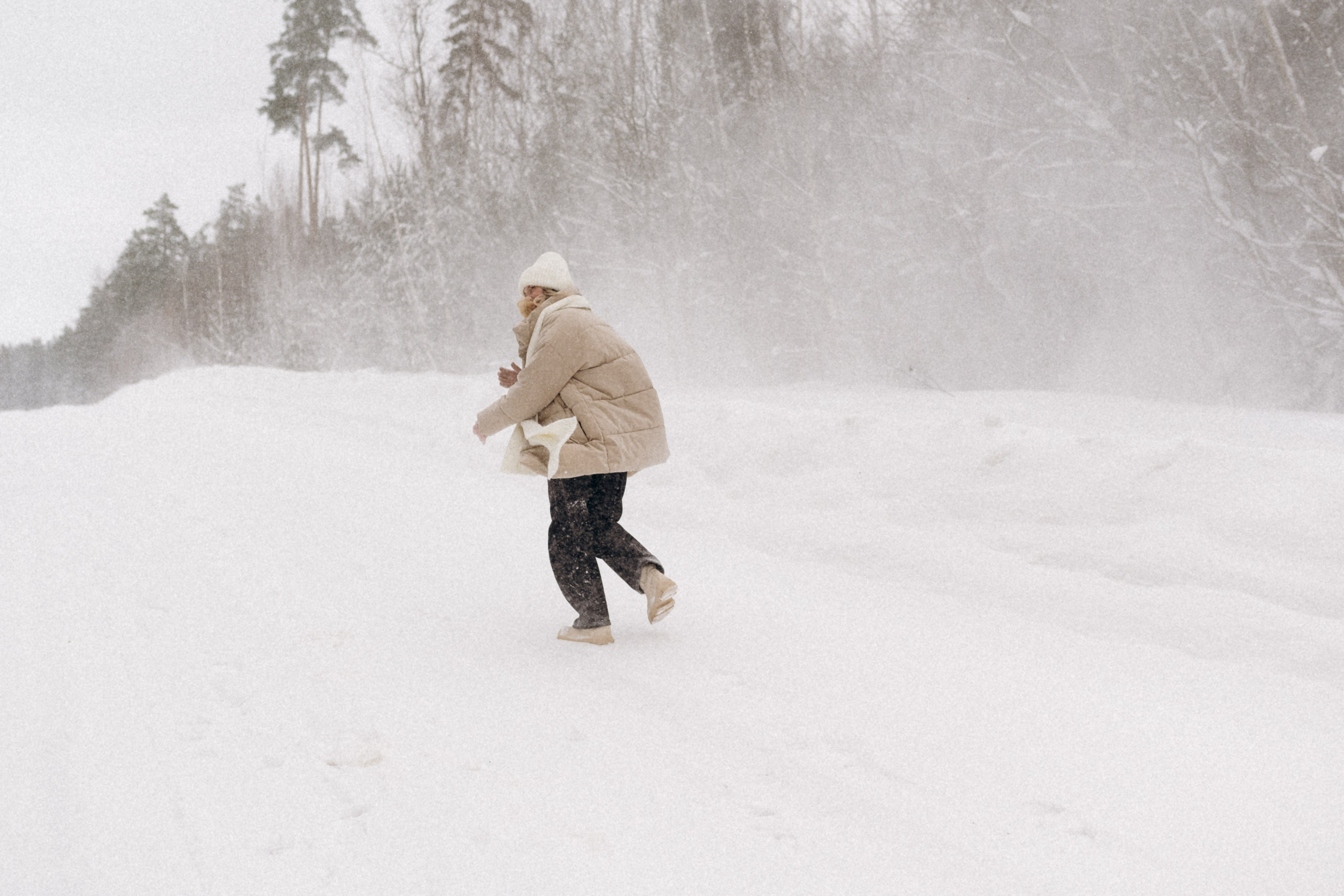 Аня и Милан. Фотограф анималист в Москве Ольга Агушева