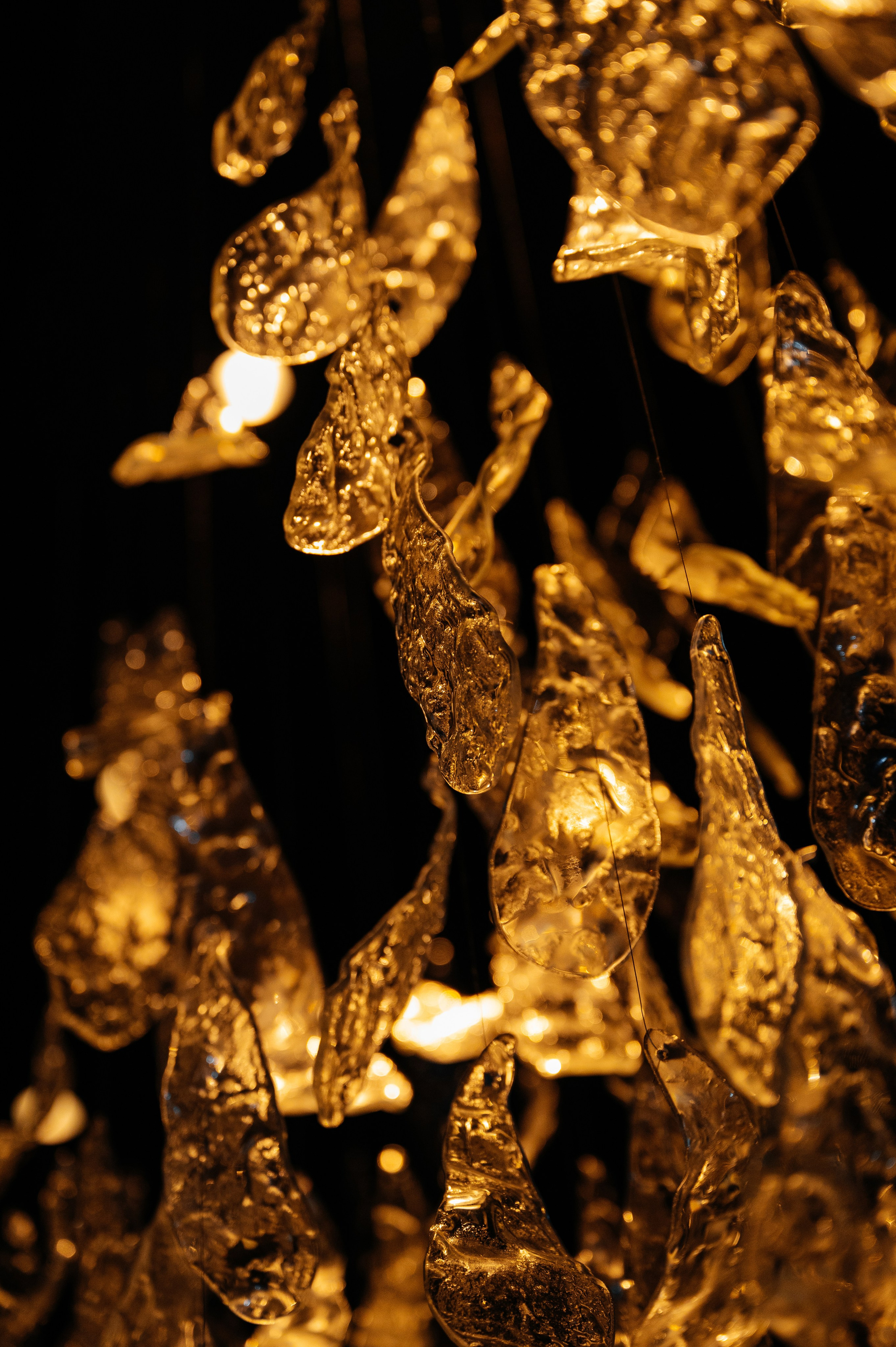 SECRET SHOW. Wedding photographer in Moscow and around the world Andrey Medvednikov