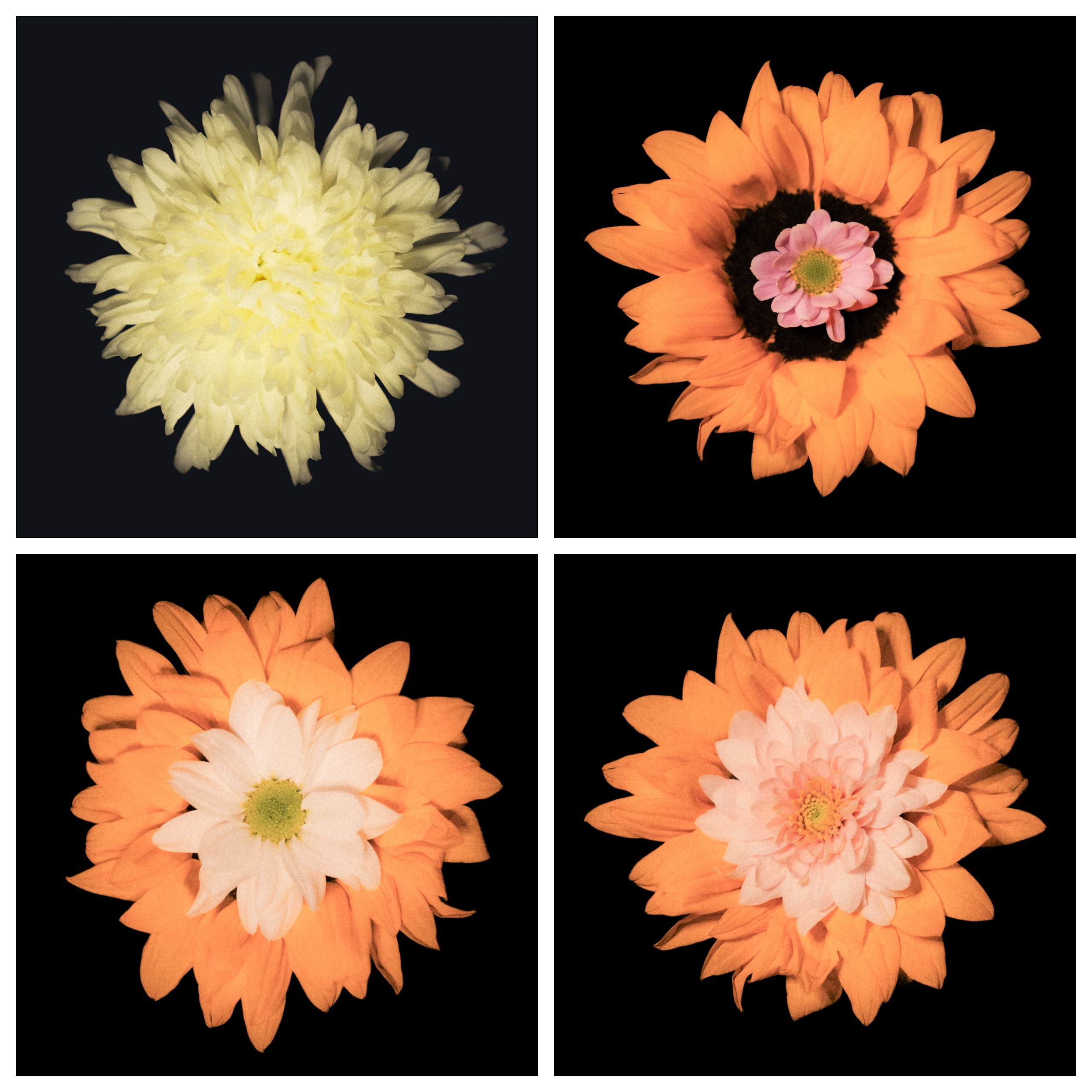 Единство (серия). Мистические фотосессии в Санкт-Петербурге от мистика Ильи Шенгелия