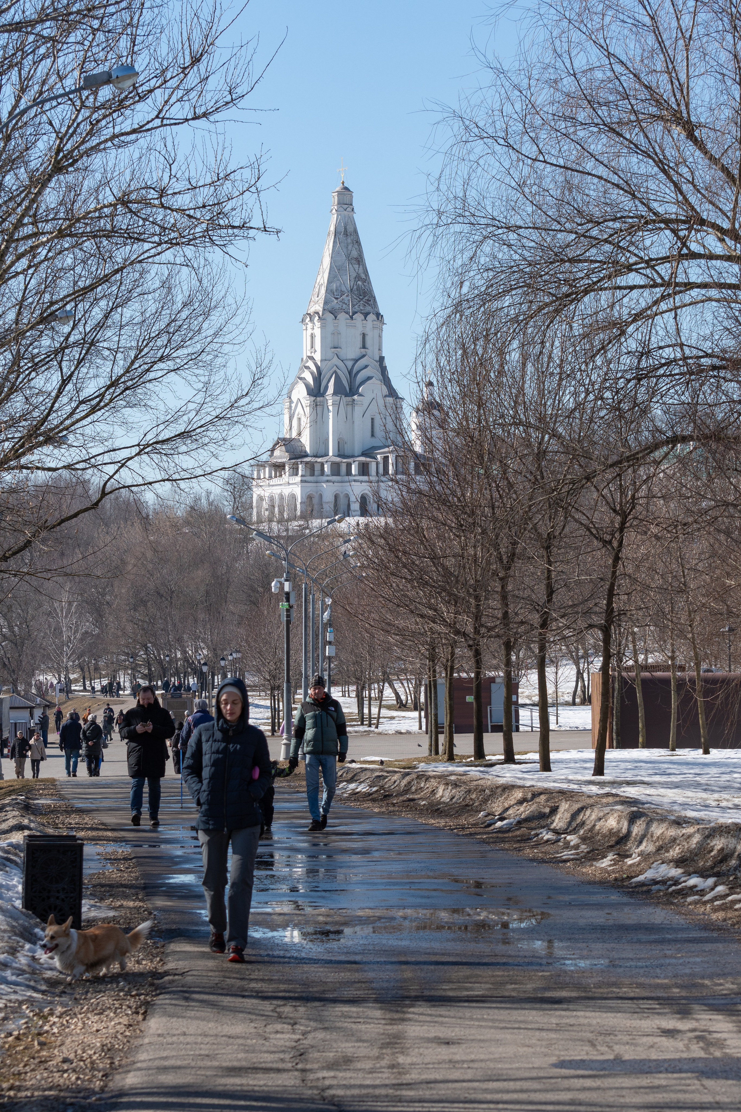 20220320 Коломенское. Дмитрий Ремизов. Фотография, как хобби