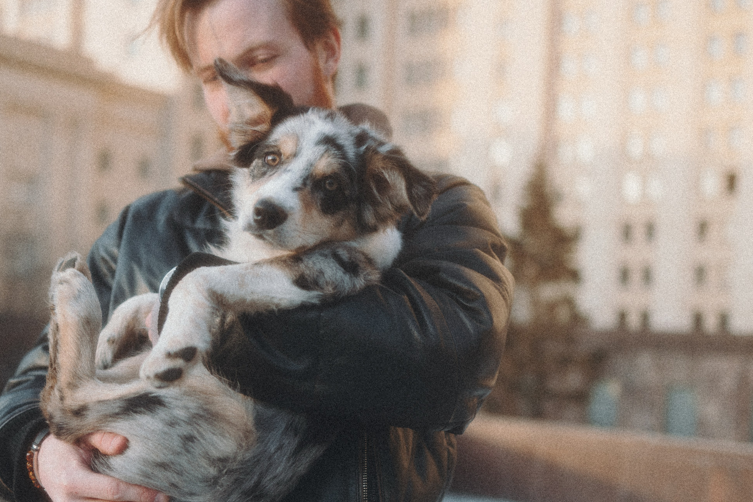 Балу и Илья. Фотограф анималист Анастасия Пикей