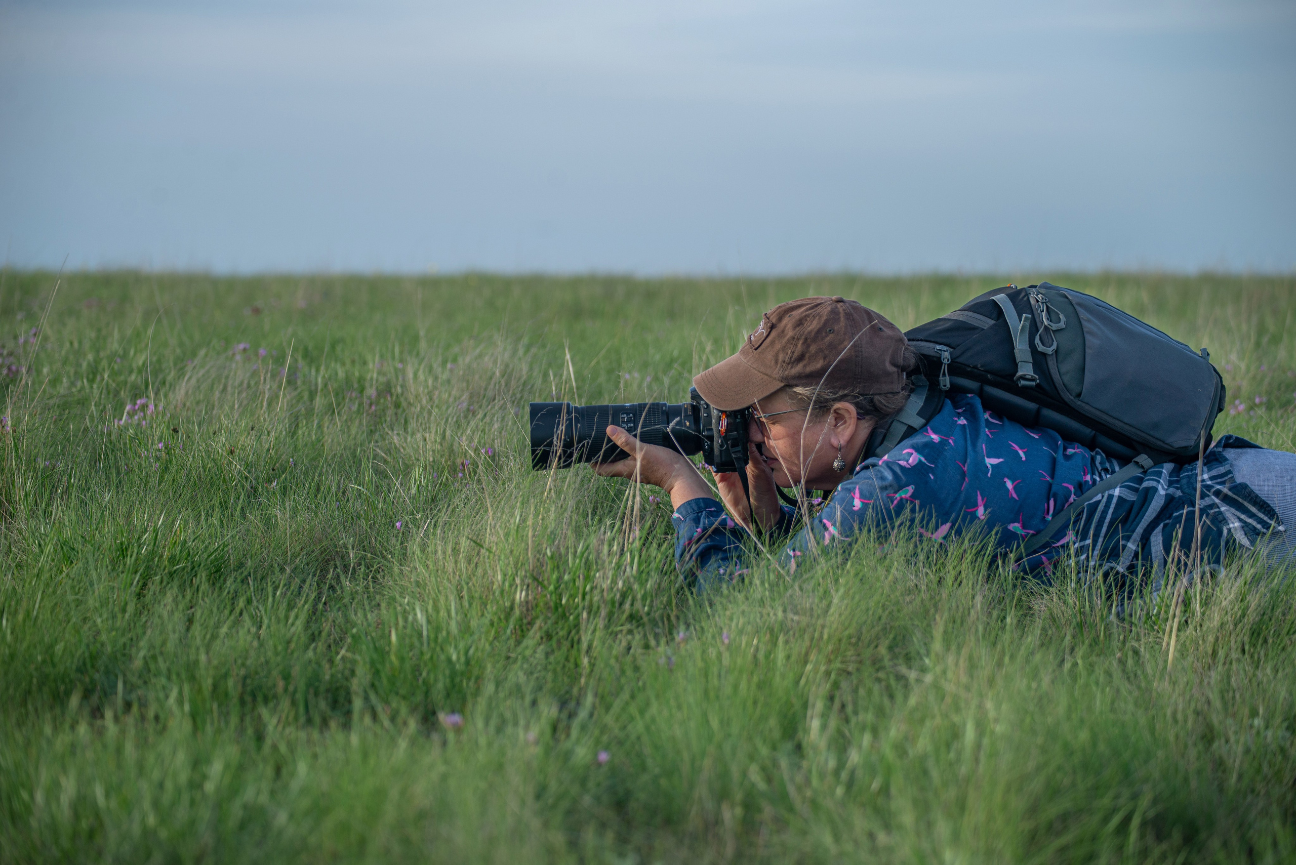 Заповедник «Оренбургский», предуральская степь. Фотообъединение Самарского областного отделения Союза журналистов России