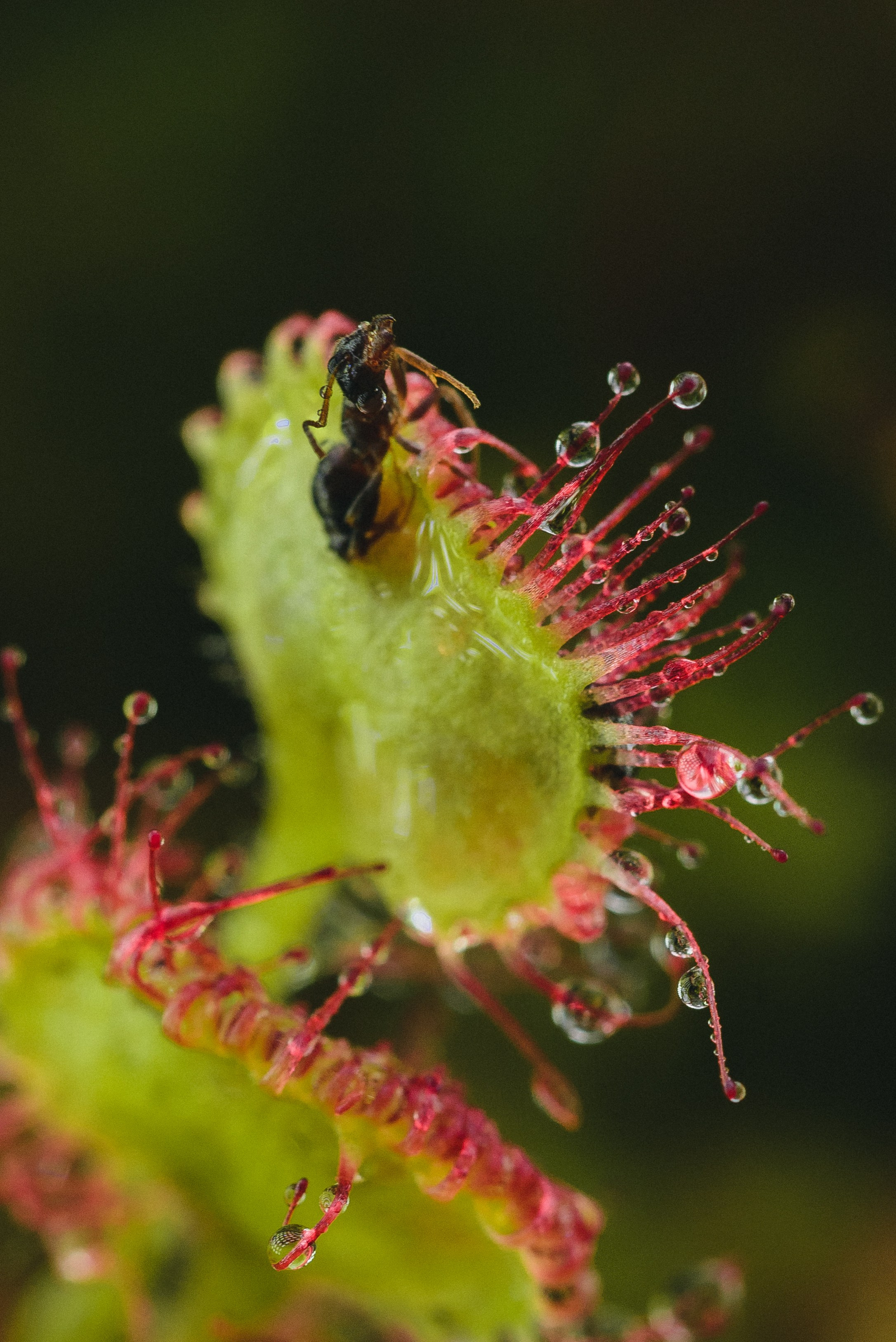 Фотопленэр на болоте. Фотообъединение Самарского областного отделения Союза журналистов России