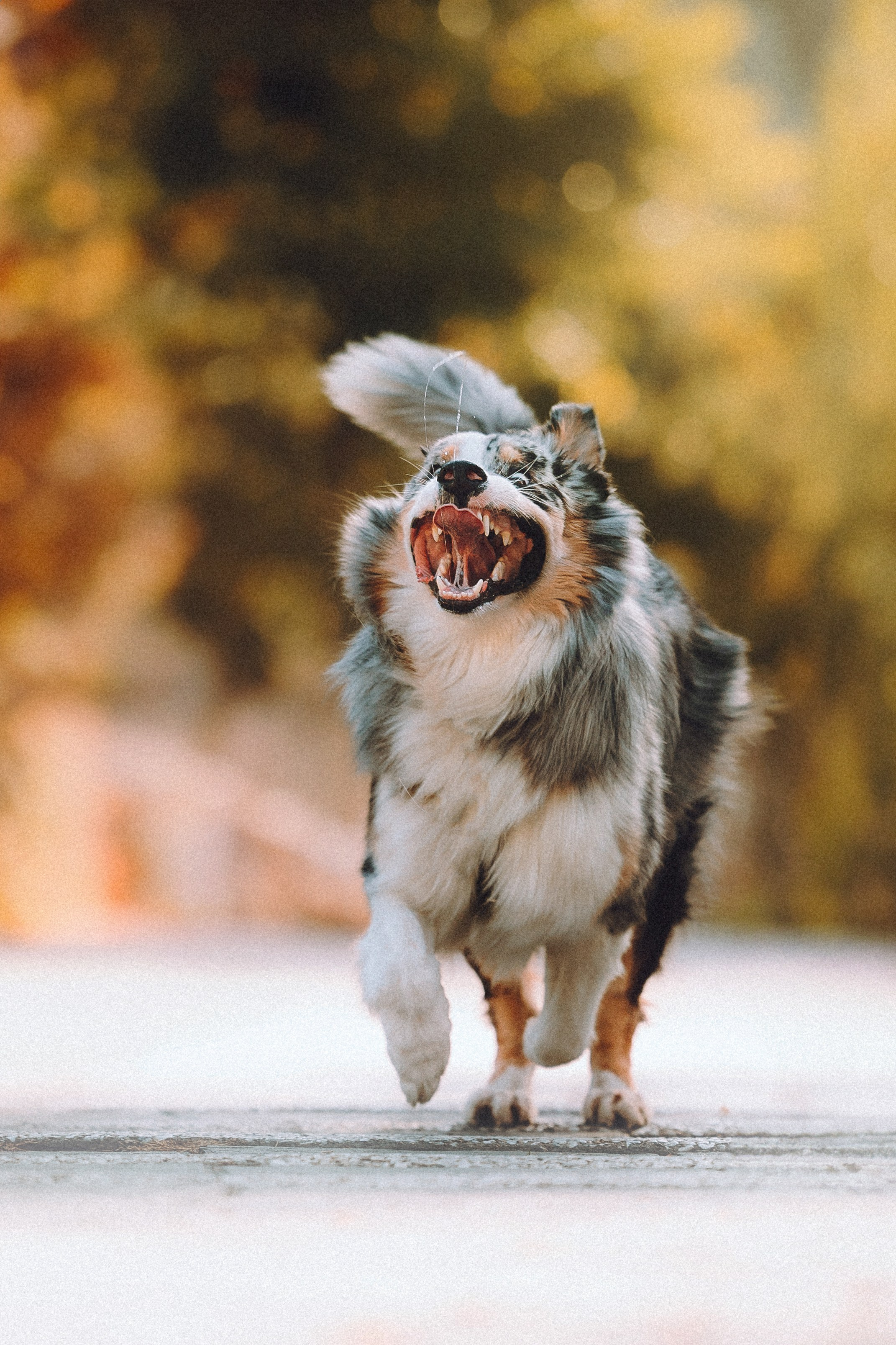 Саша, Рома и Один