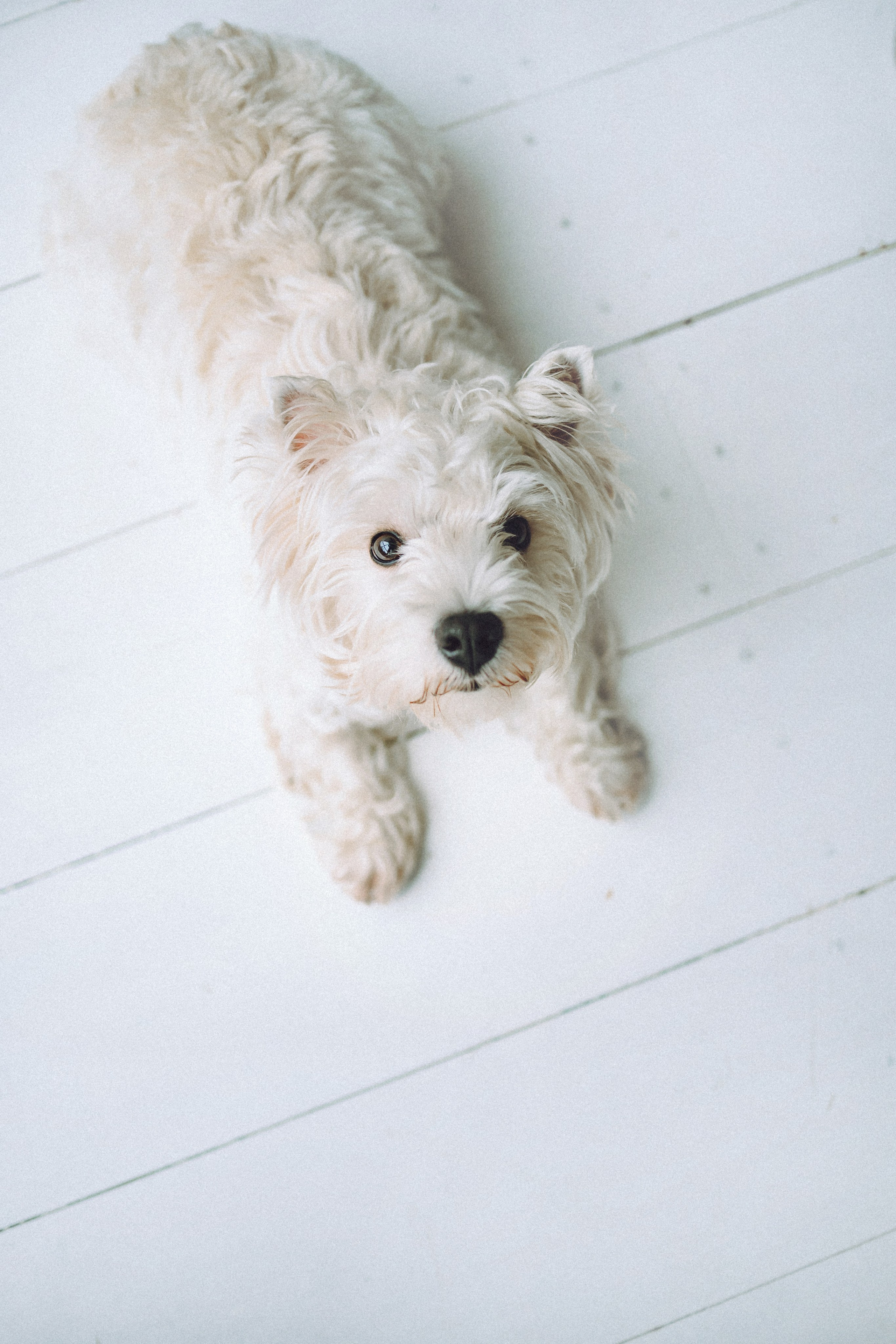 Вика, Глеб и Тори