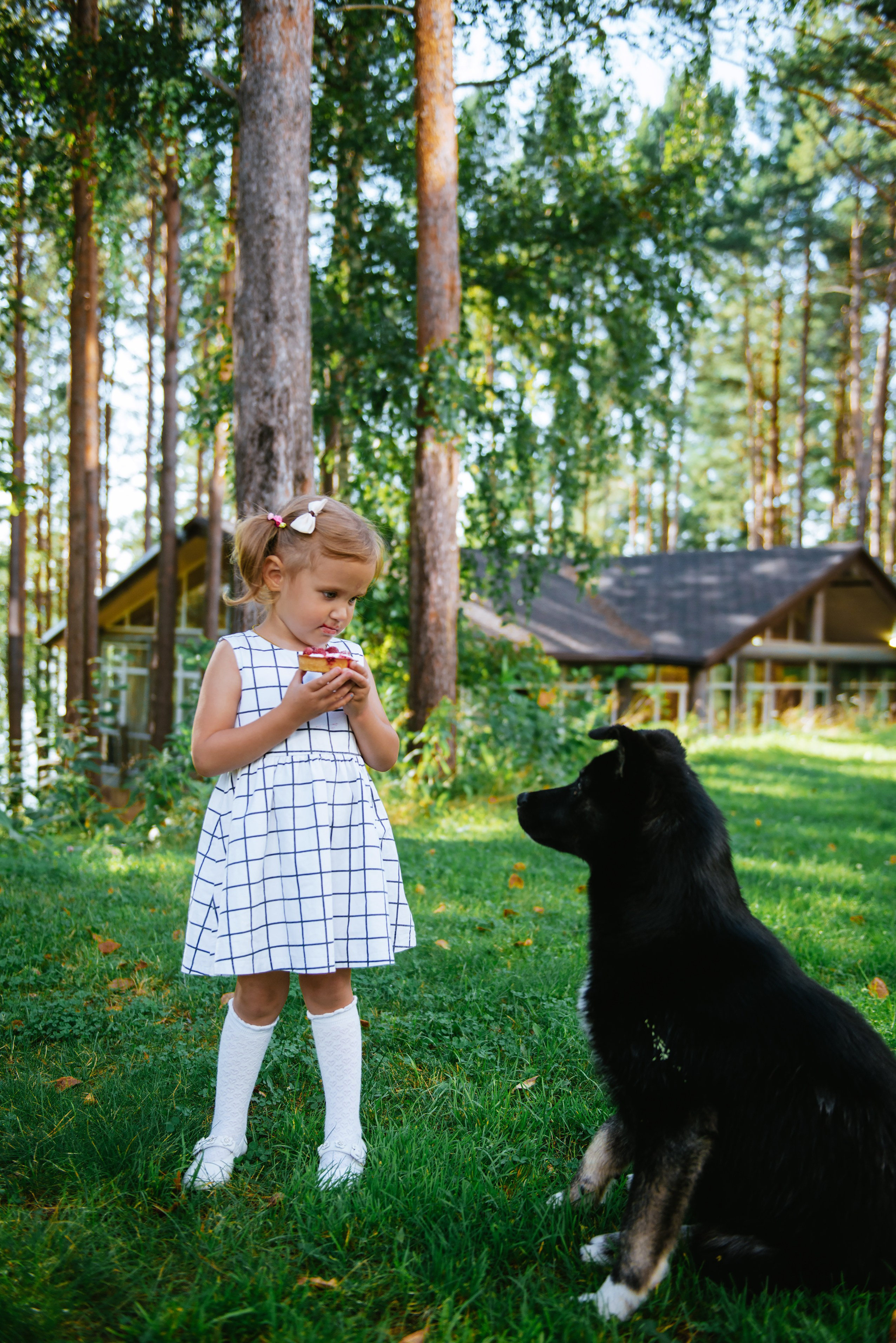 Мероприятия. Фотограф в Москве Алёна Степутенко