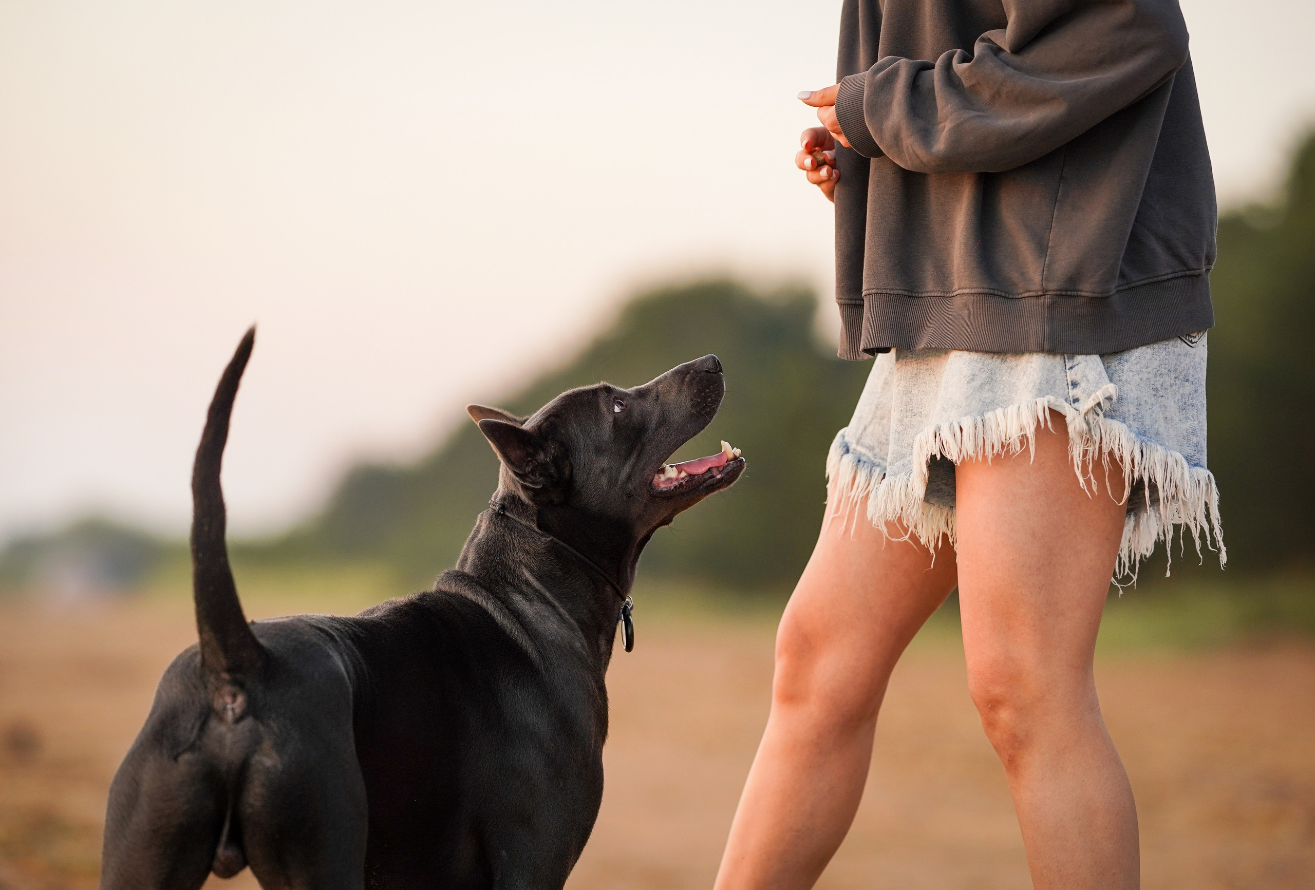 Вероника и Адам. Фотограф-анималист в Санкт-Петербурге Яна Мартынова