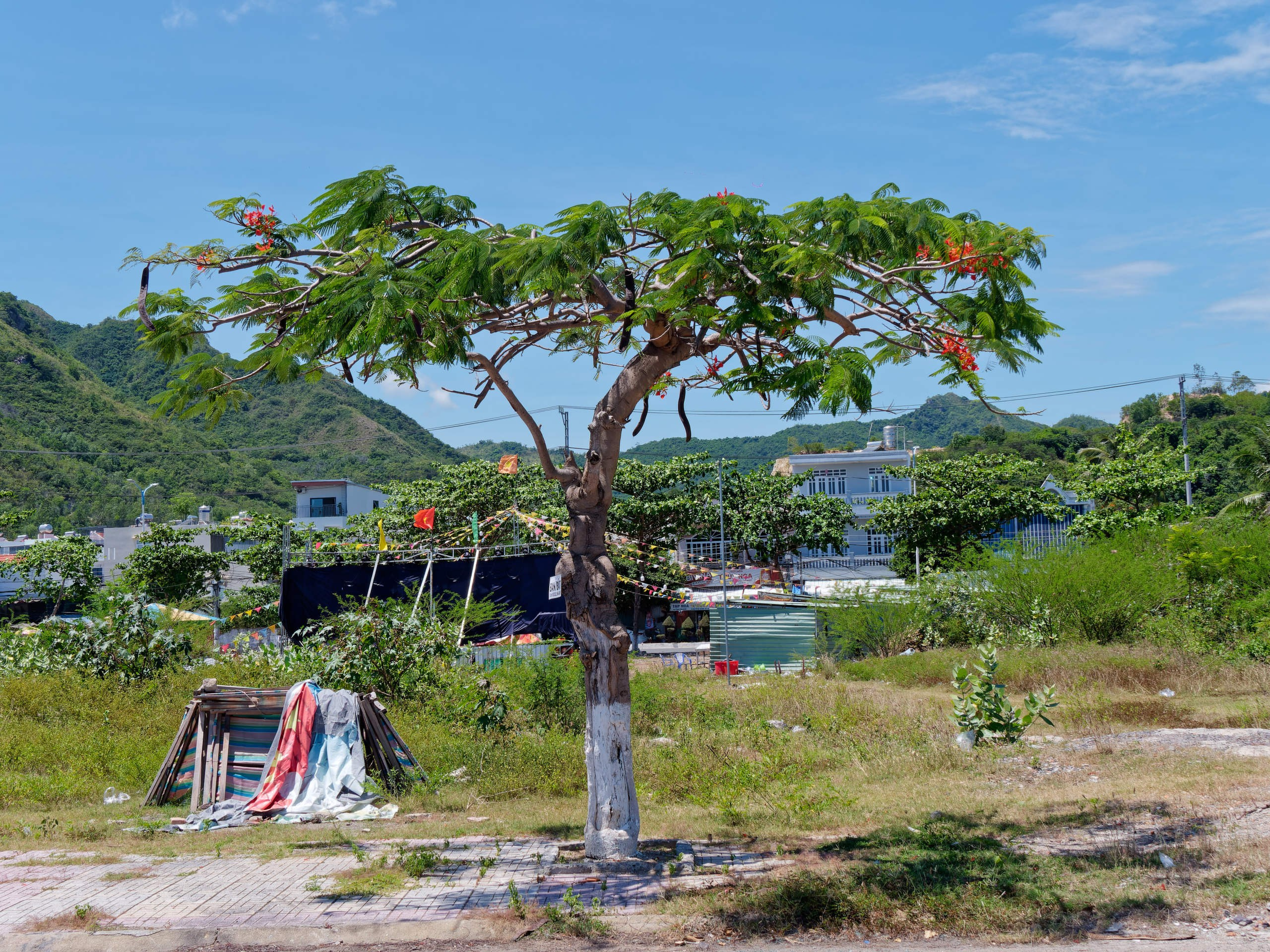 Нячанг 2025 (3). Избранные фотографии