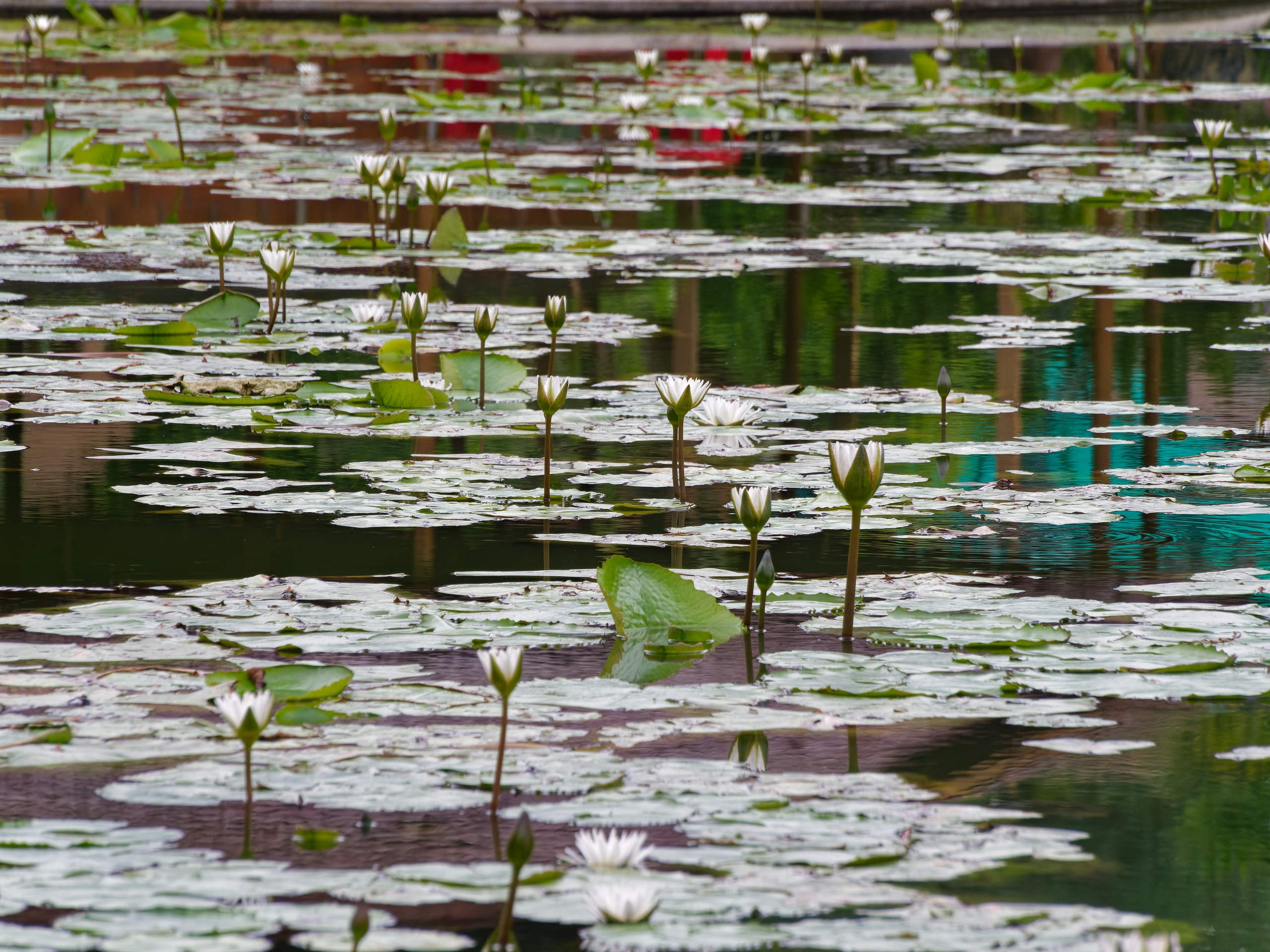 Нячанг 2025 (4). Избранные фотографии