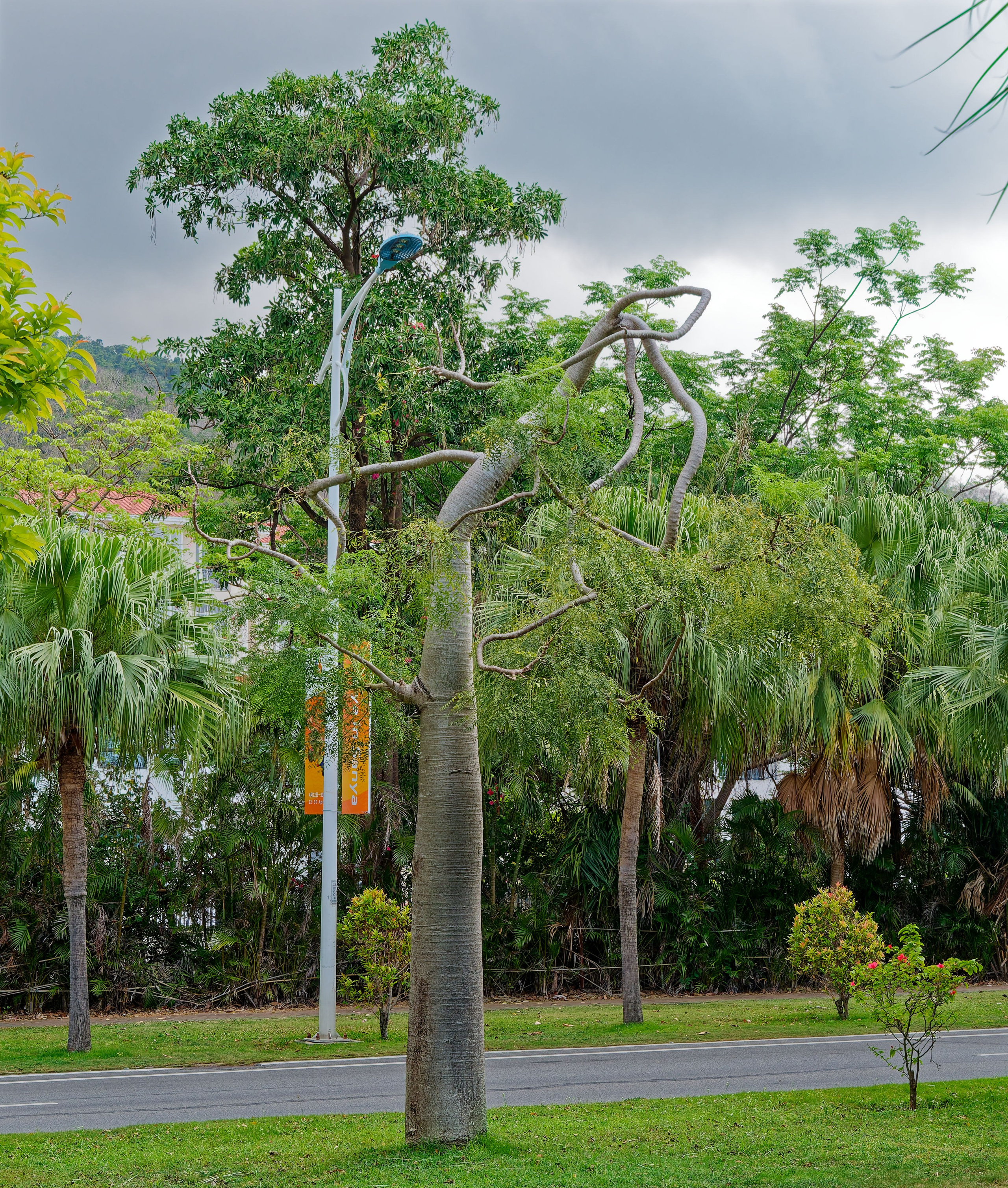 Хайнань 2026, улицы Ялунвань и Саньи. Фотопрогулки по Миру