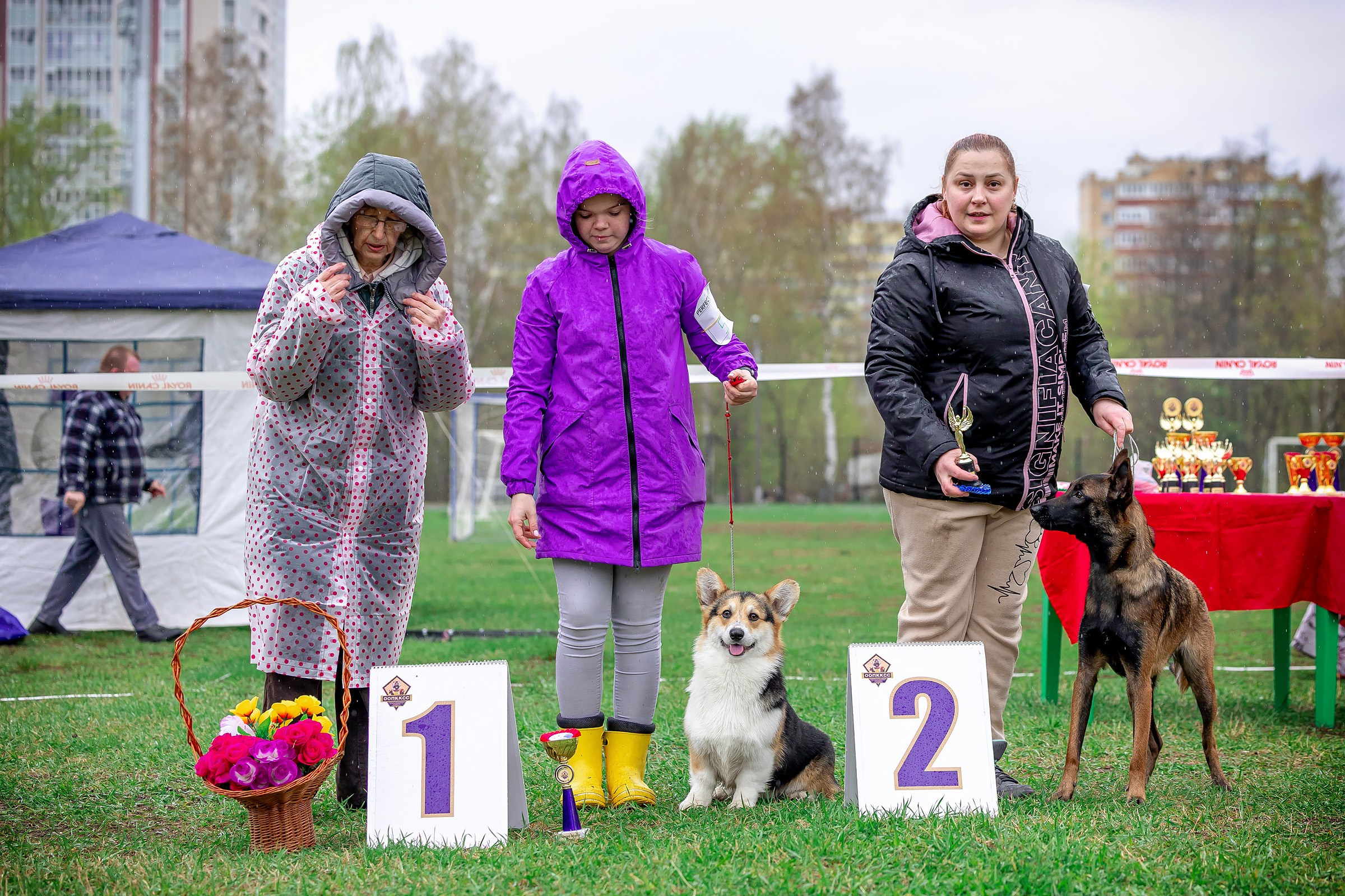11 мая 2025, Выставка РКФ, г. Пермь. Htykk_photo
