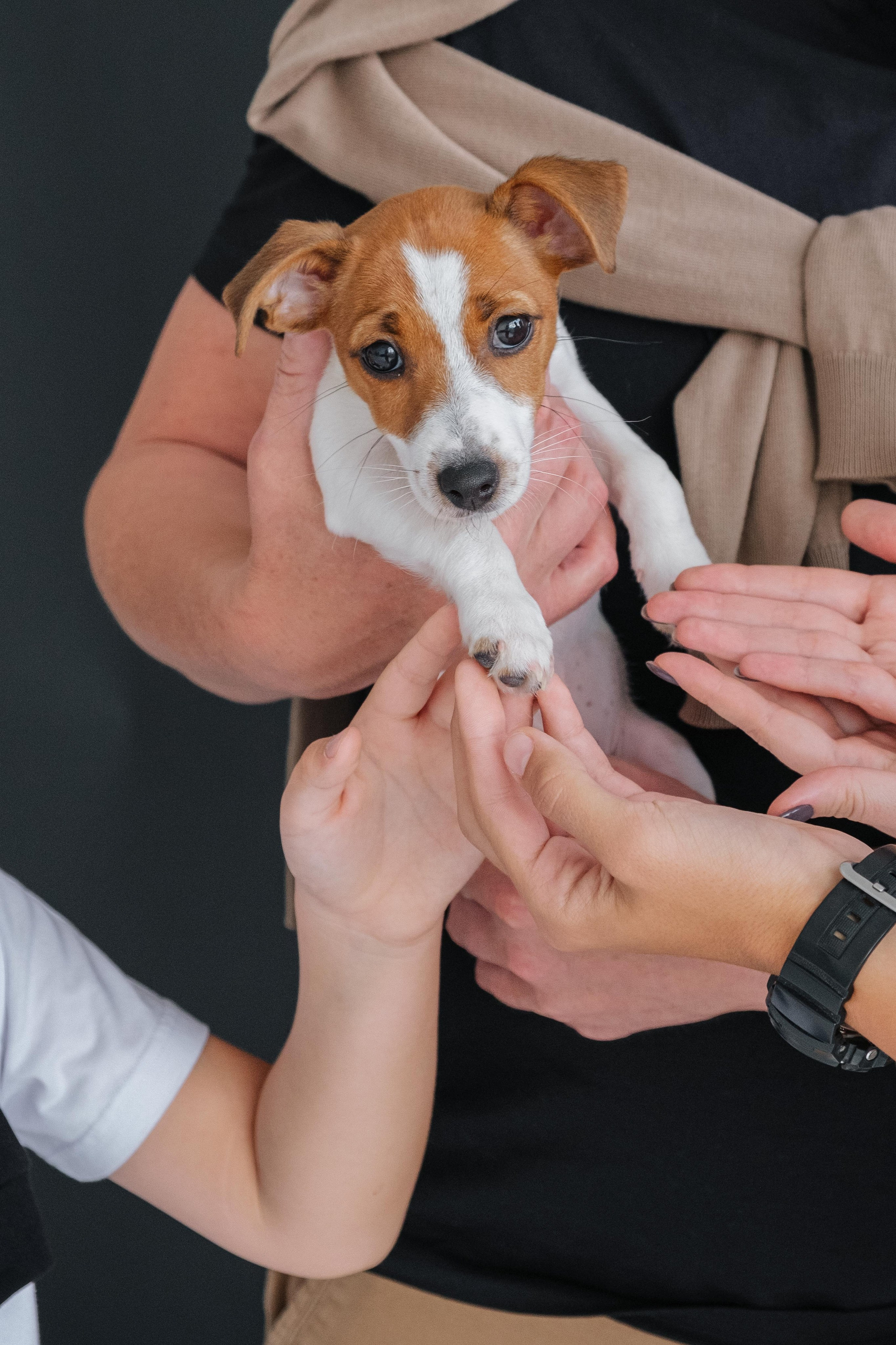 Семейная. Контент-фотограф и видеограф в Перми