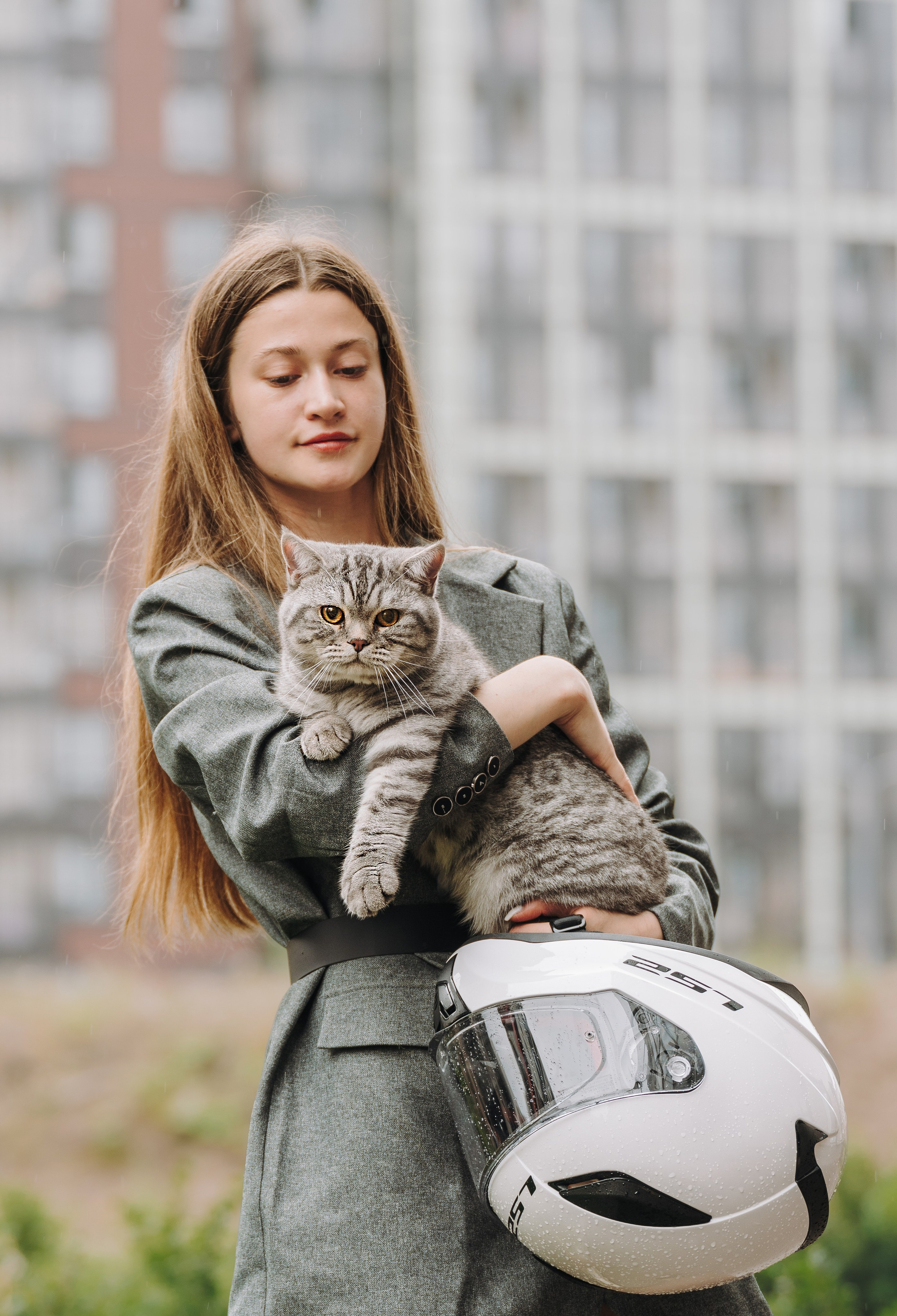 Портфолио кошки, фотограф Олеся Майрова. Фотограф анималист в Спб недорого Олеся Майорова