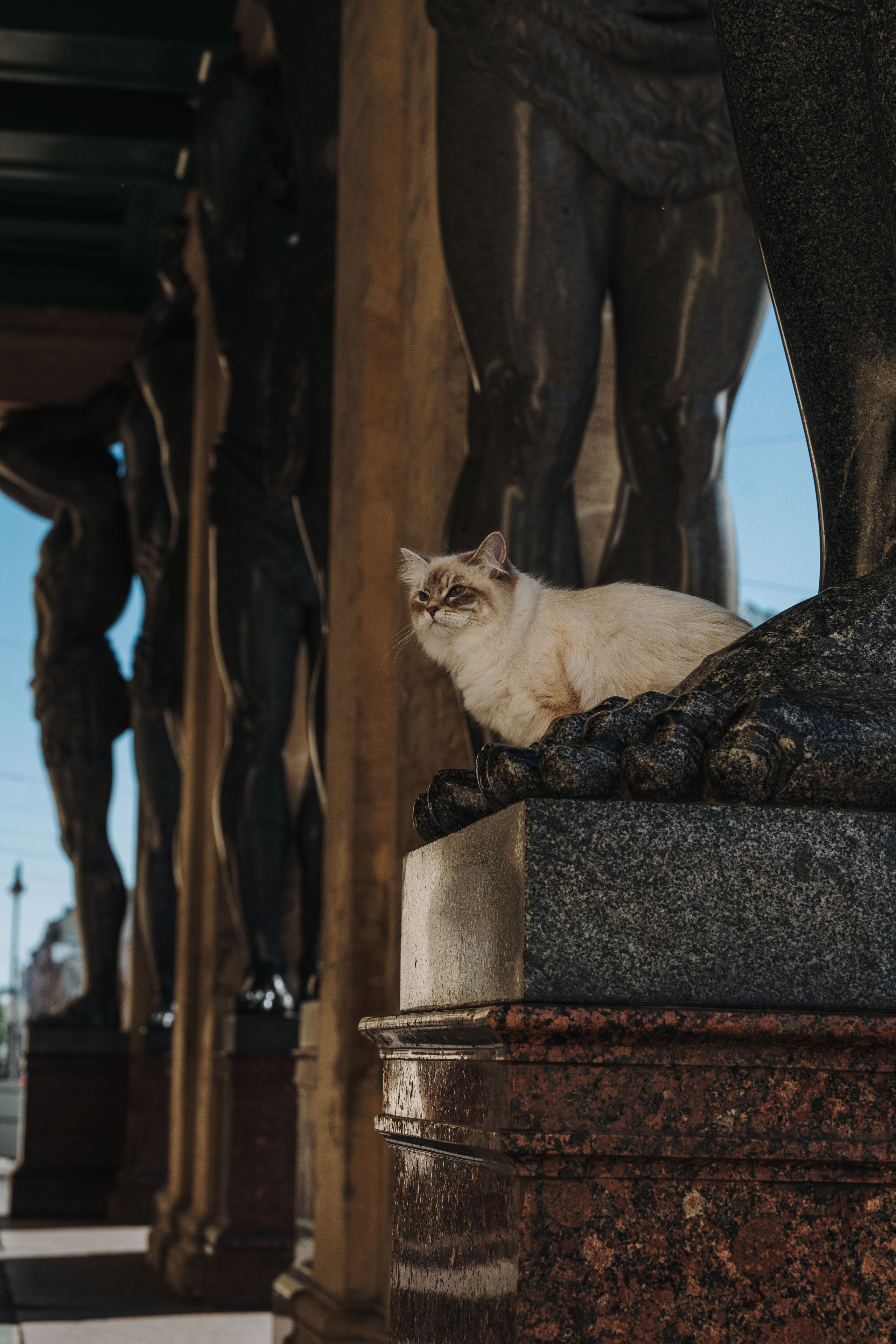 Сильвия, Полина и Никита. Фотограф анималист в Спб недорого Олеся Майорова