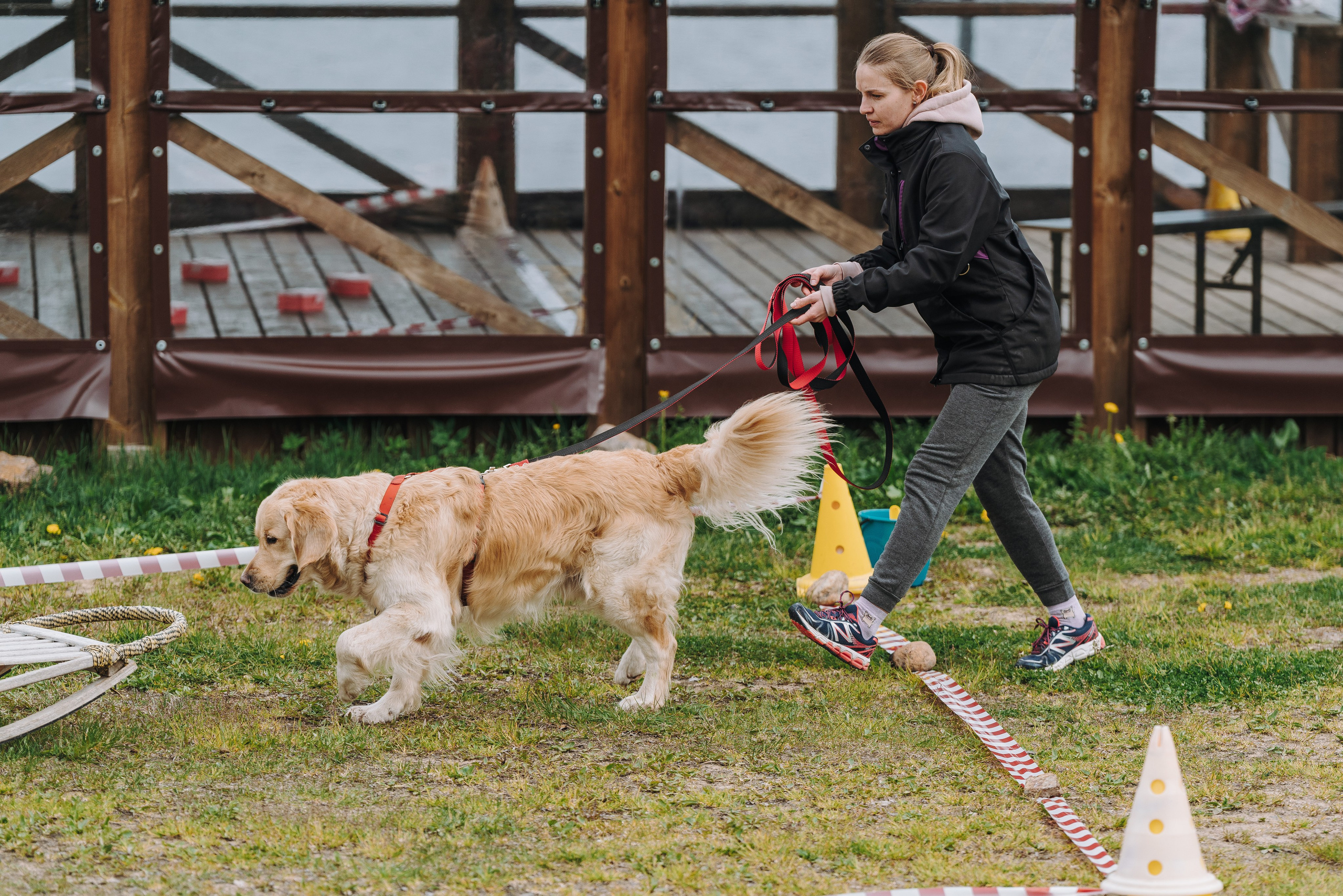 Соревнования по ноузворку в Лосево. Фотограф анималист в Спб недорого Олеся Майорова