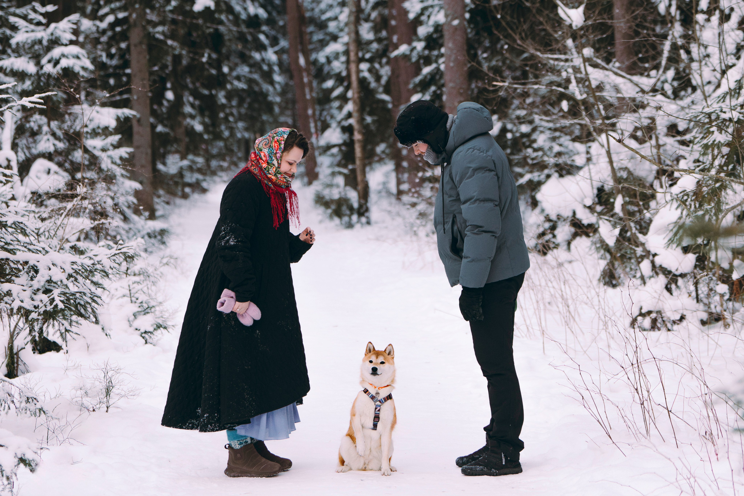 Каори, Анна и Антон. Фотограф анималист в Спб недорого Олеся Майорова