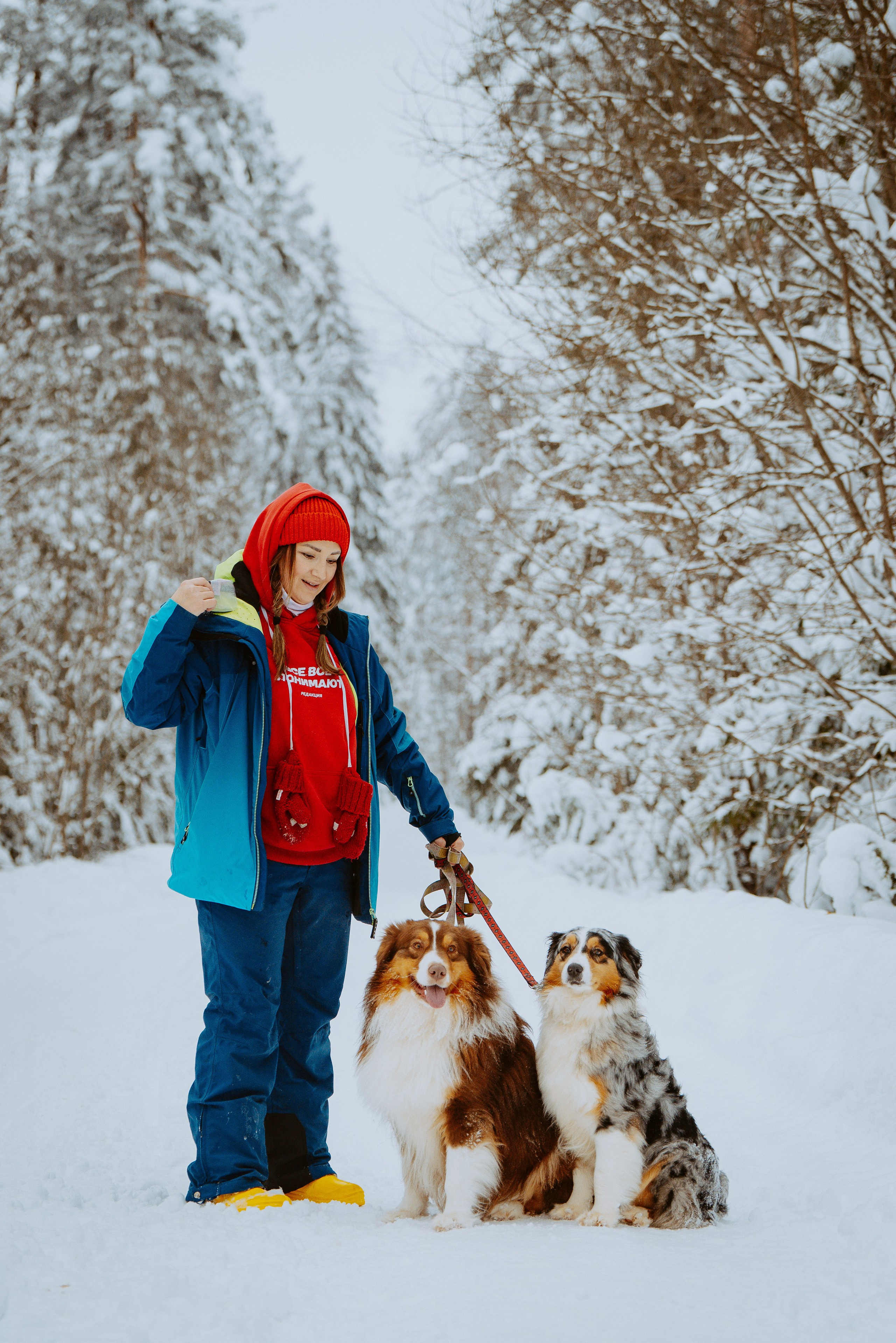 Дог трекинг. Фотограф анималист в Спб недорого Олеся Майорова