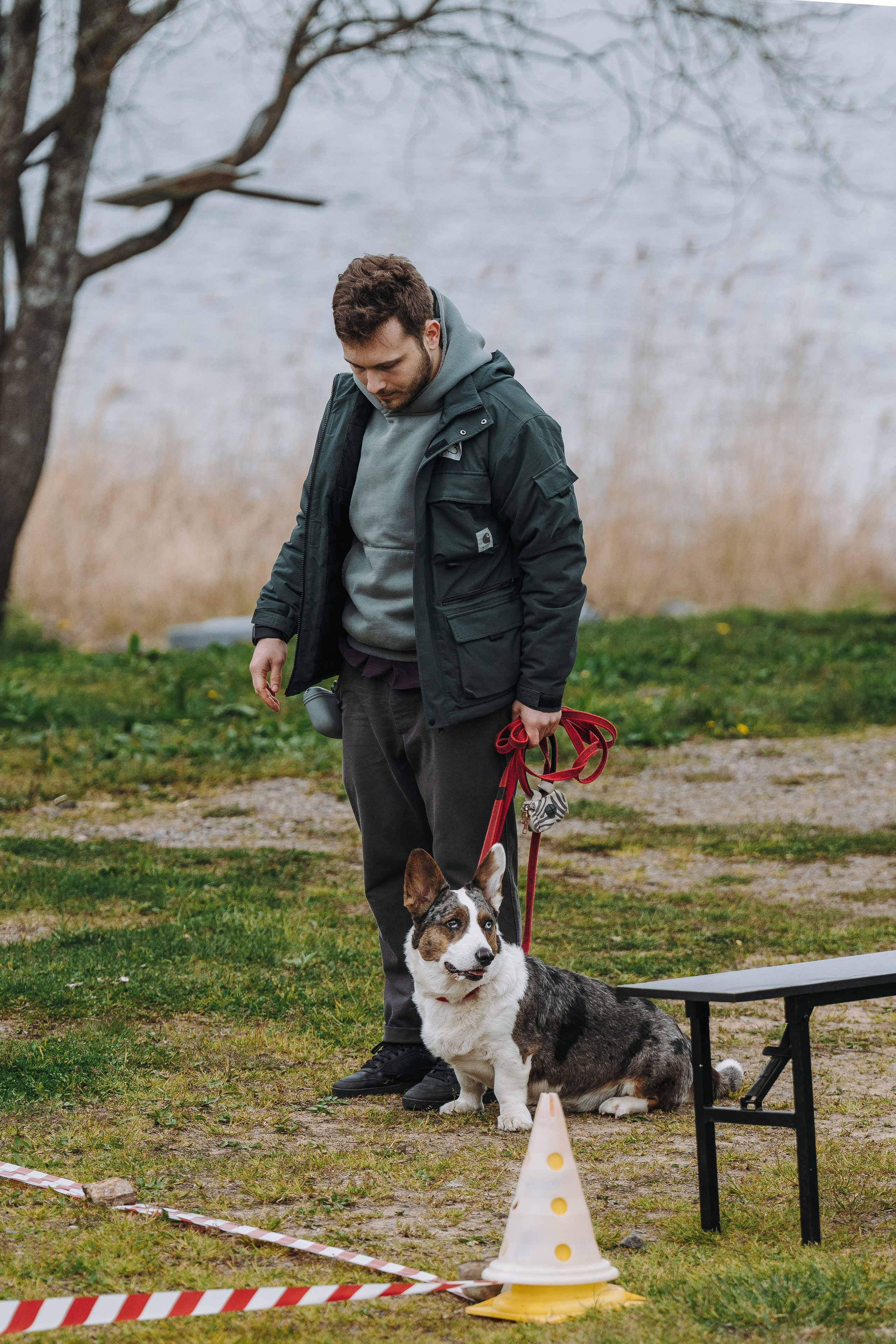 Соревнования по ноузворку в Лосево. Фотограф анималист в Спб недорого Олеся Майорова