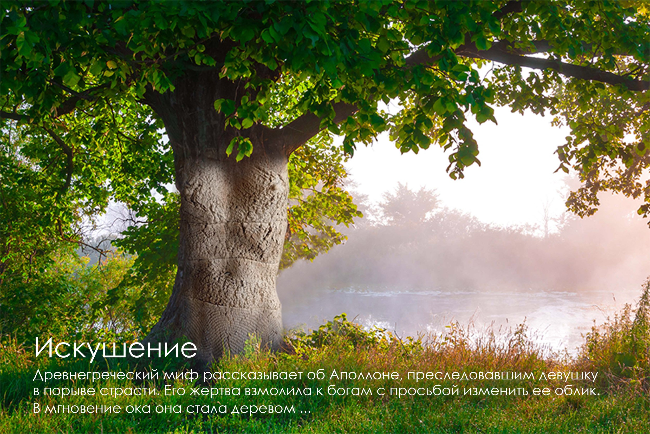 Искушение →. Ekaterina Kudryashova, Ceramica Fine art