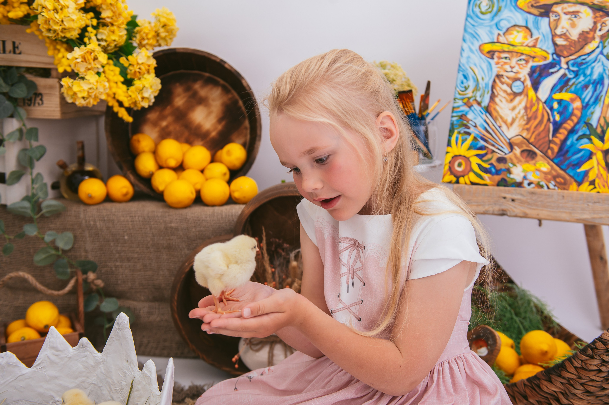 Цыплята. Детский фотограф Магадан