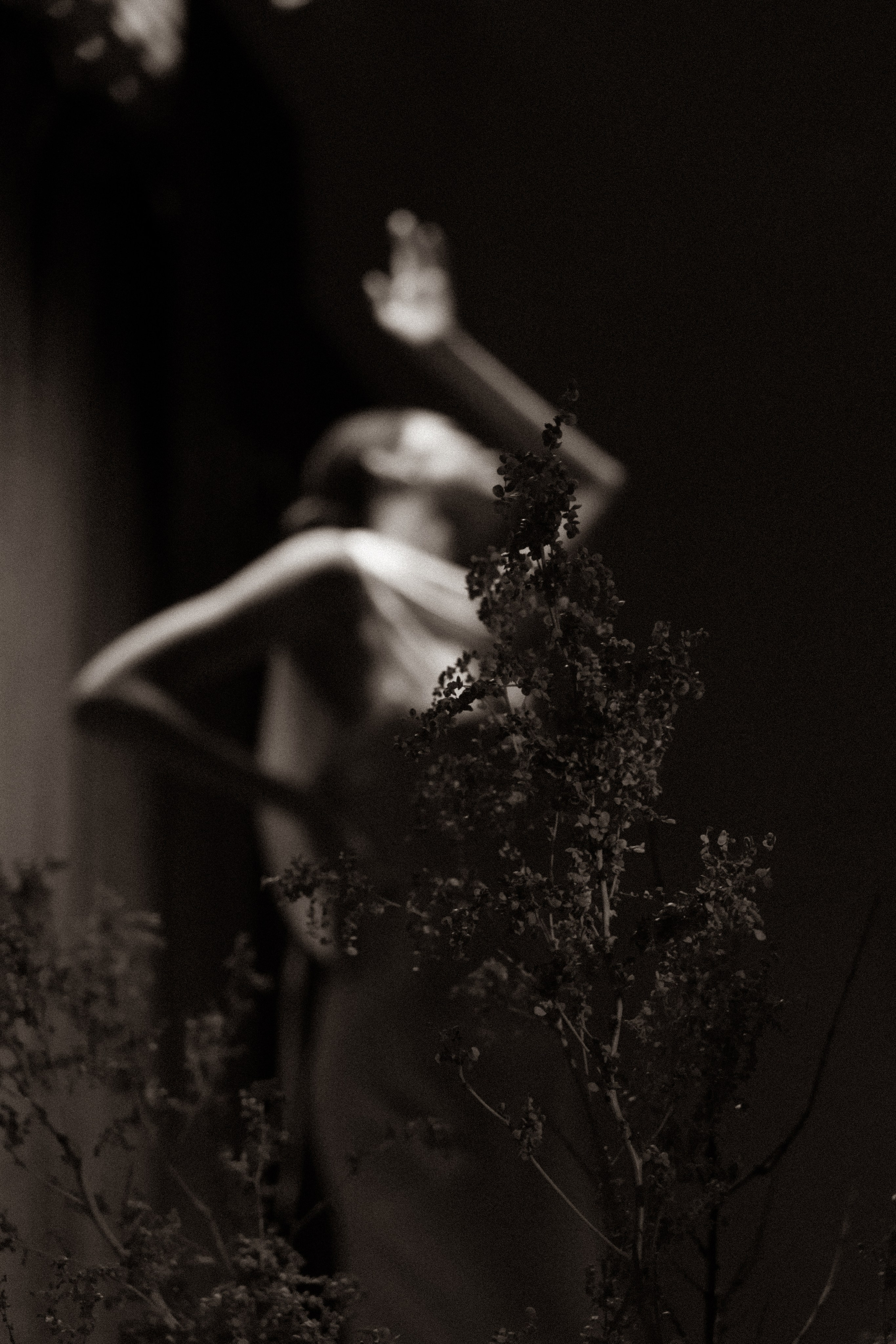 Алена и Евгений. Фотограф в Красноярске. Юлия Чаушанская