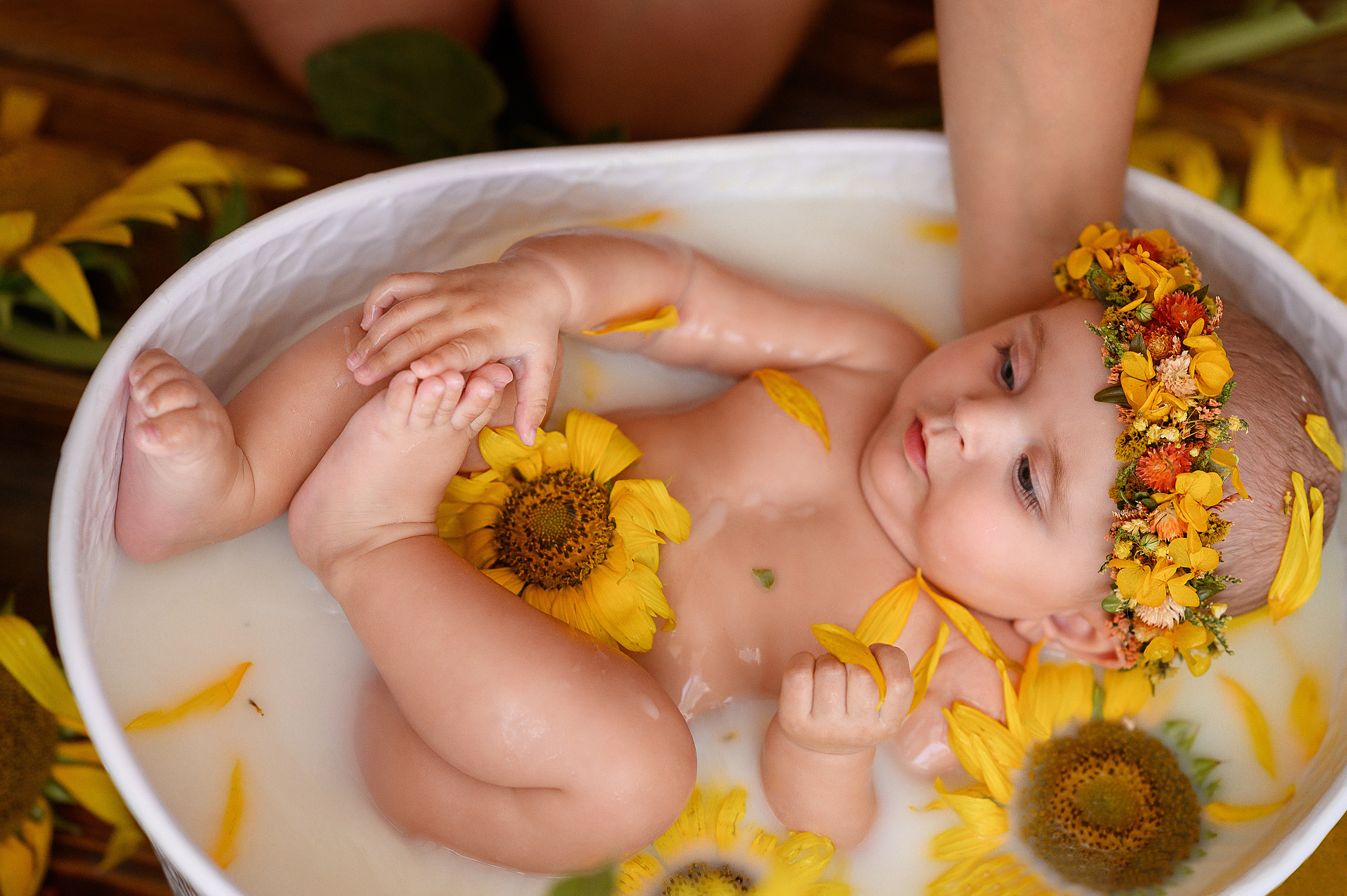 Евочка и подсолнухи. Детский и семейный фотограф Ирина Гладких