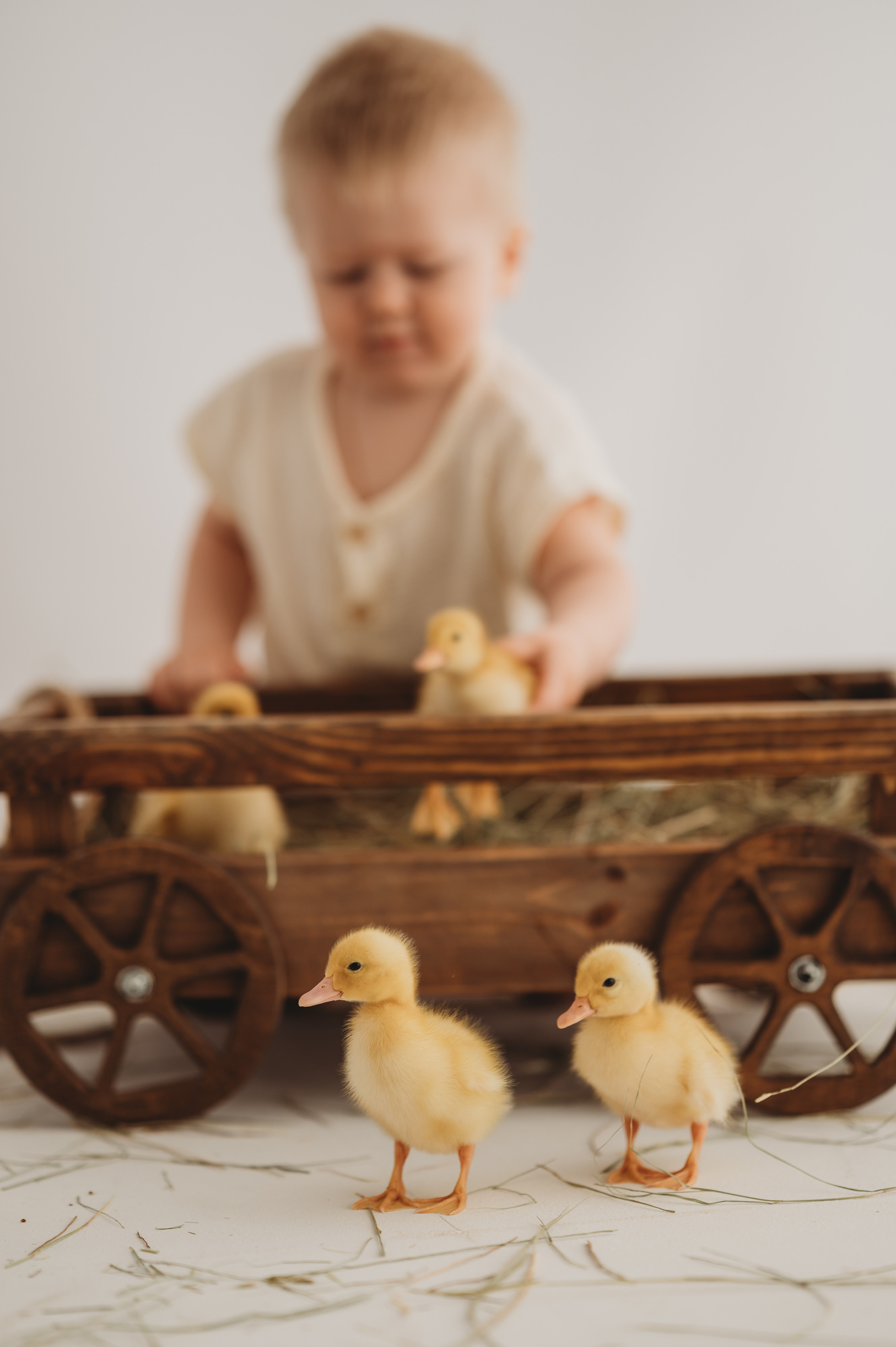 Никитка и Лерочка с утятами. Детский и семейный фотограф Ирина Гладких