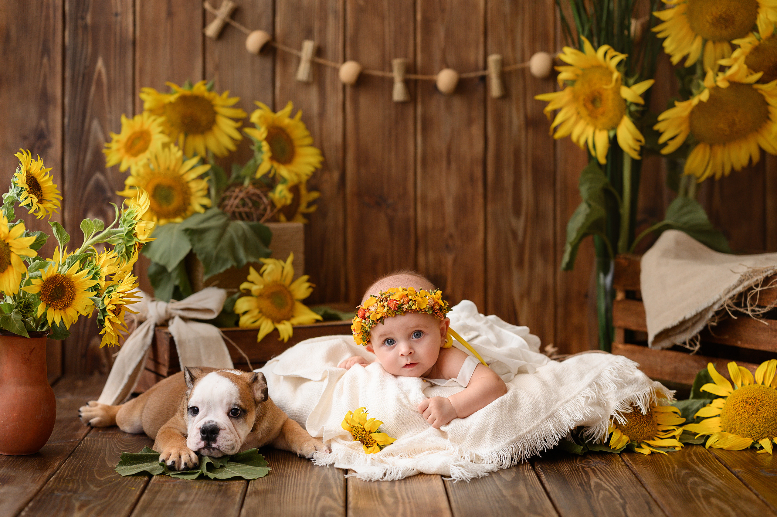 Евочка и подсолнухи. Детский и семейный фотограф Ирина Гладких