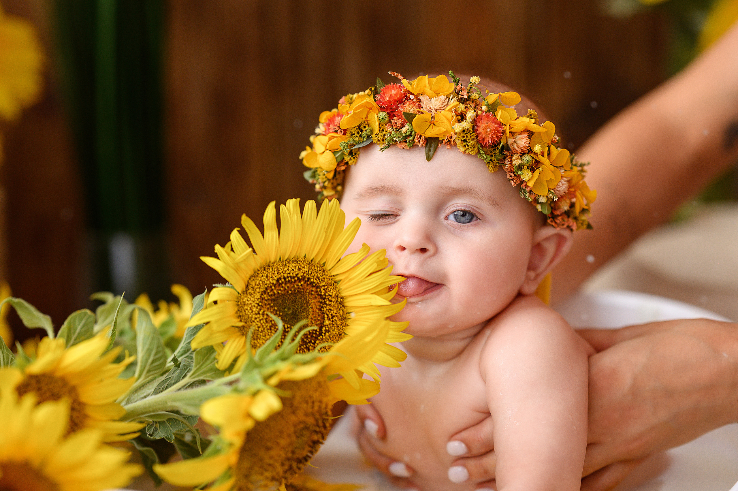 Евочка и подсолнухи. Детский и семейный фотограф Ирина Гладких