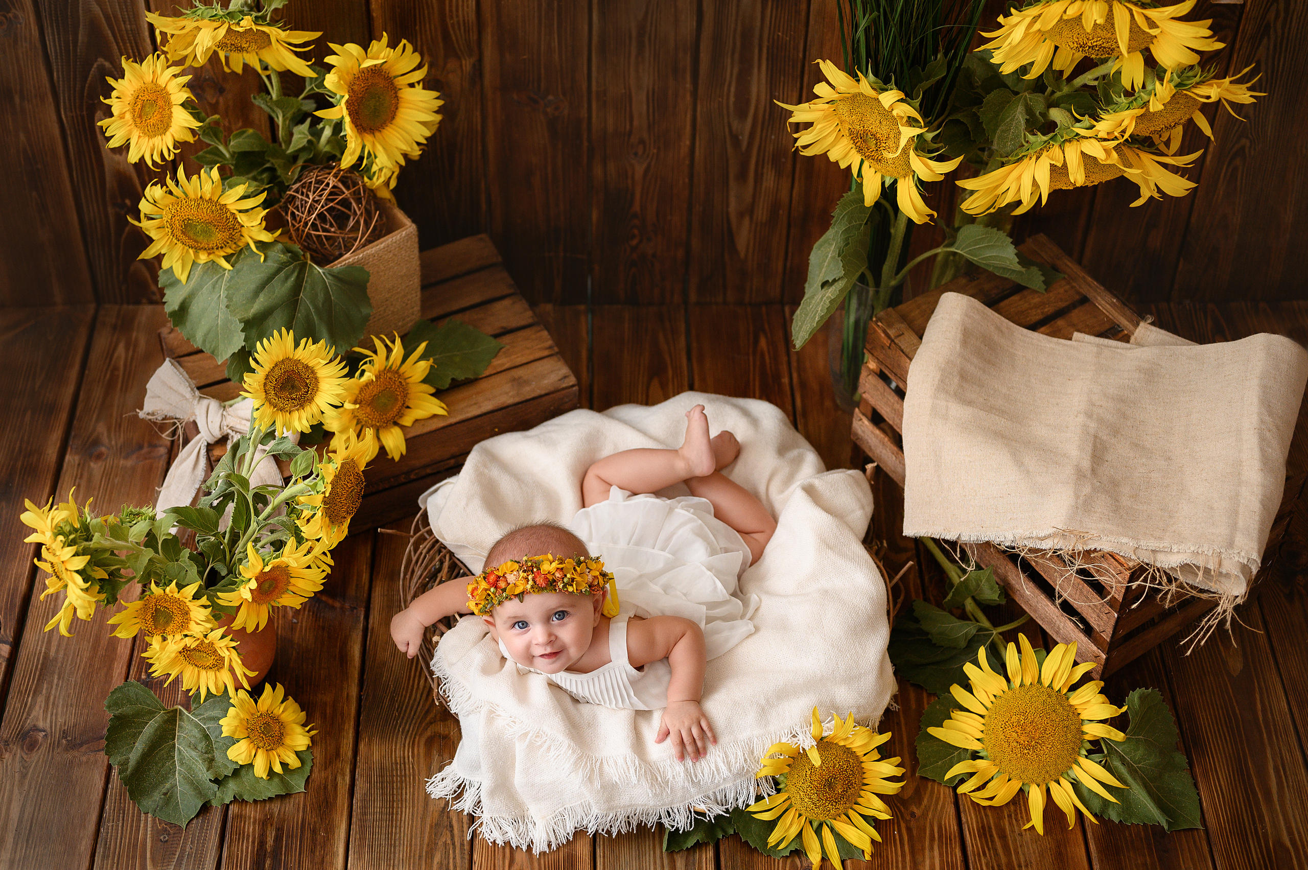 Евочка и подсолнухи. Детский и семейный фотограф Ирина Гладких