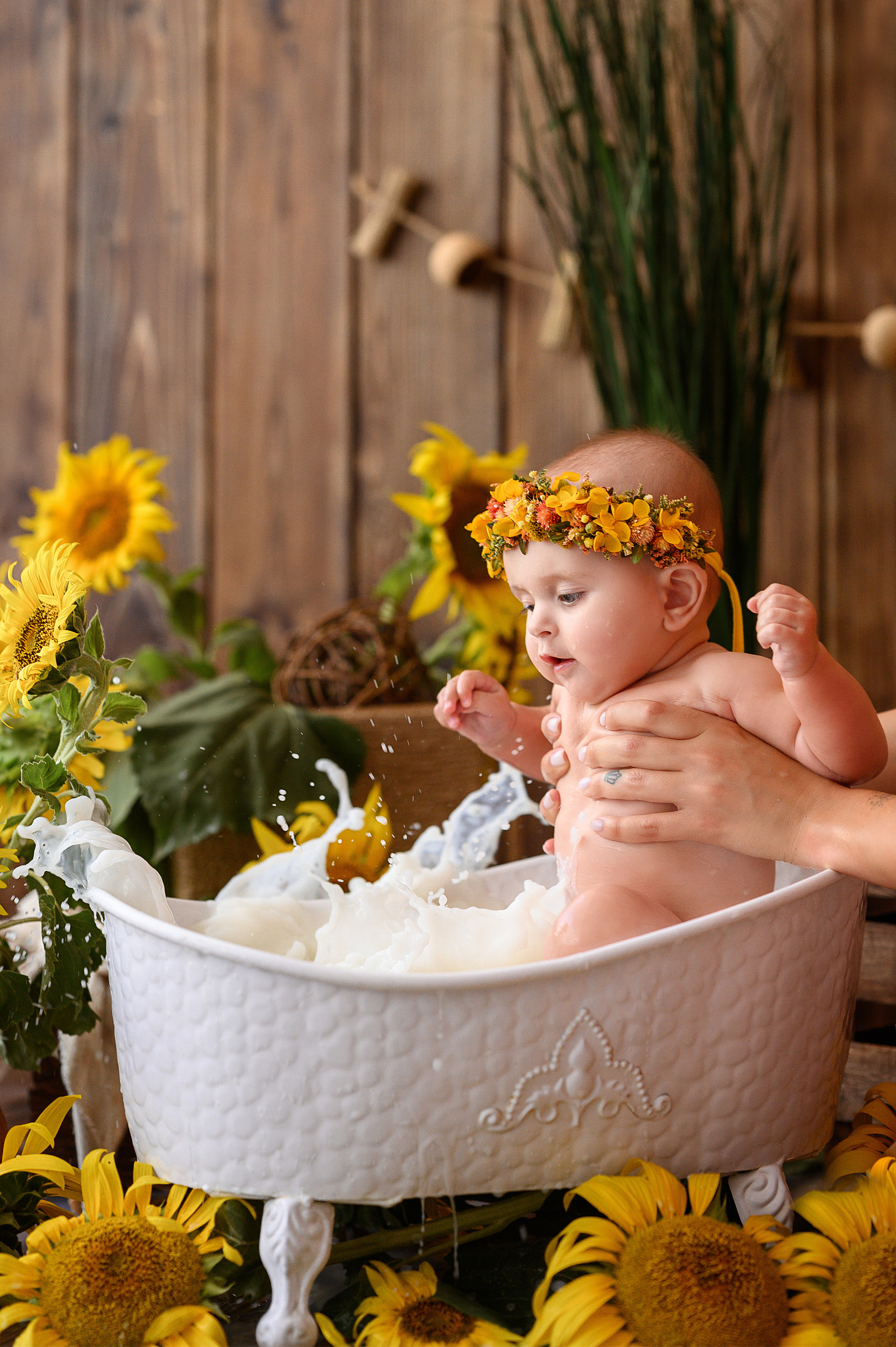 Евочка и подсолнухи. Детский и семейный фотограф Ирина Гладких