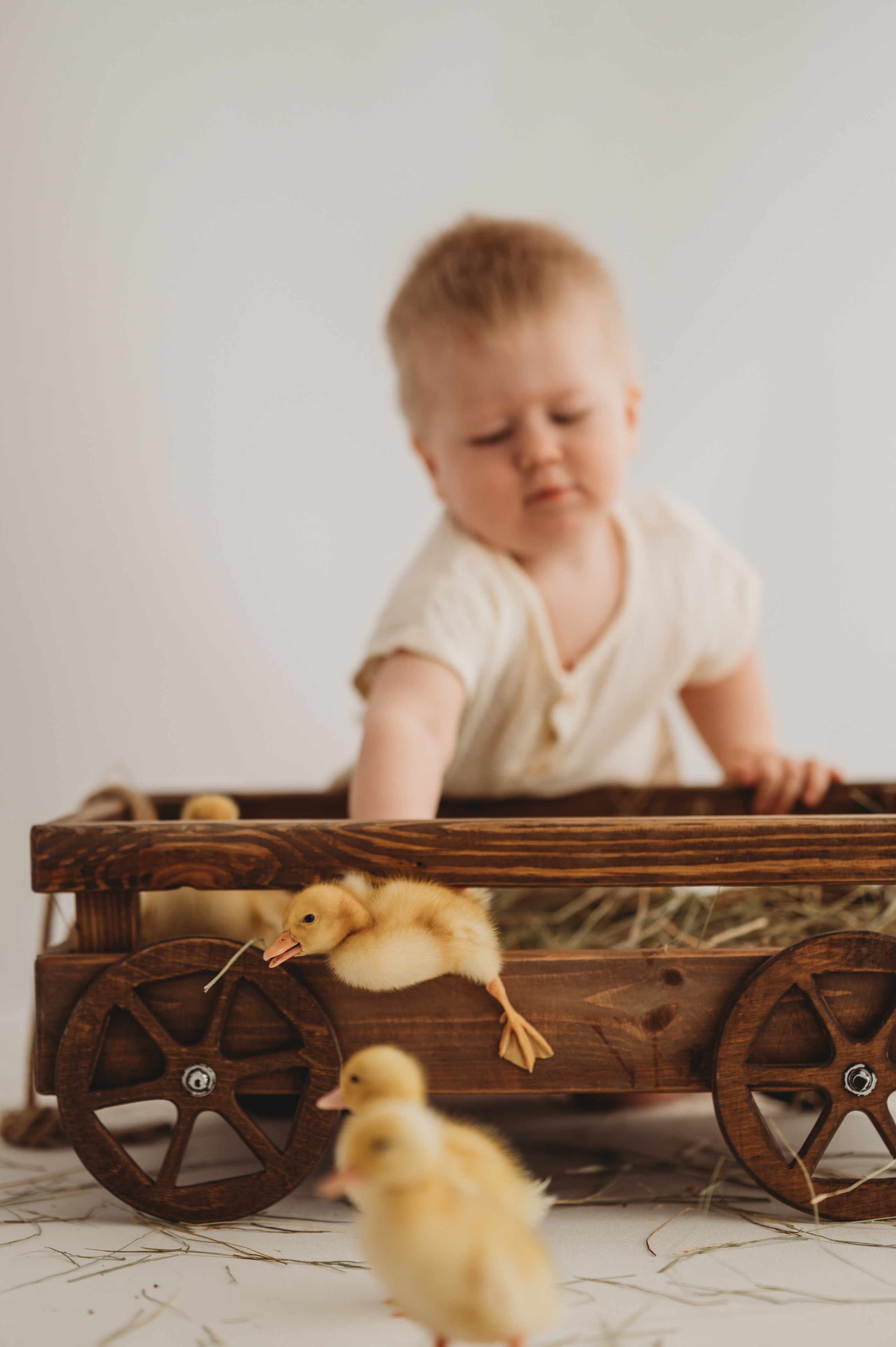 Никитка и Лерочка с утятами. Детский и семейный фотограф Ирина Гладких