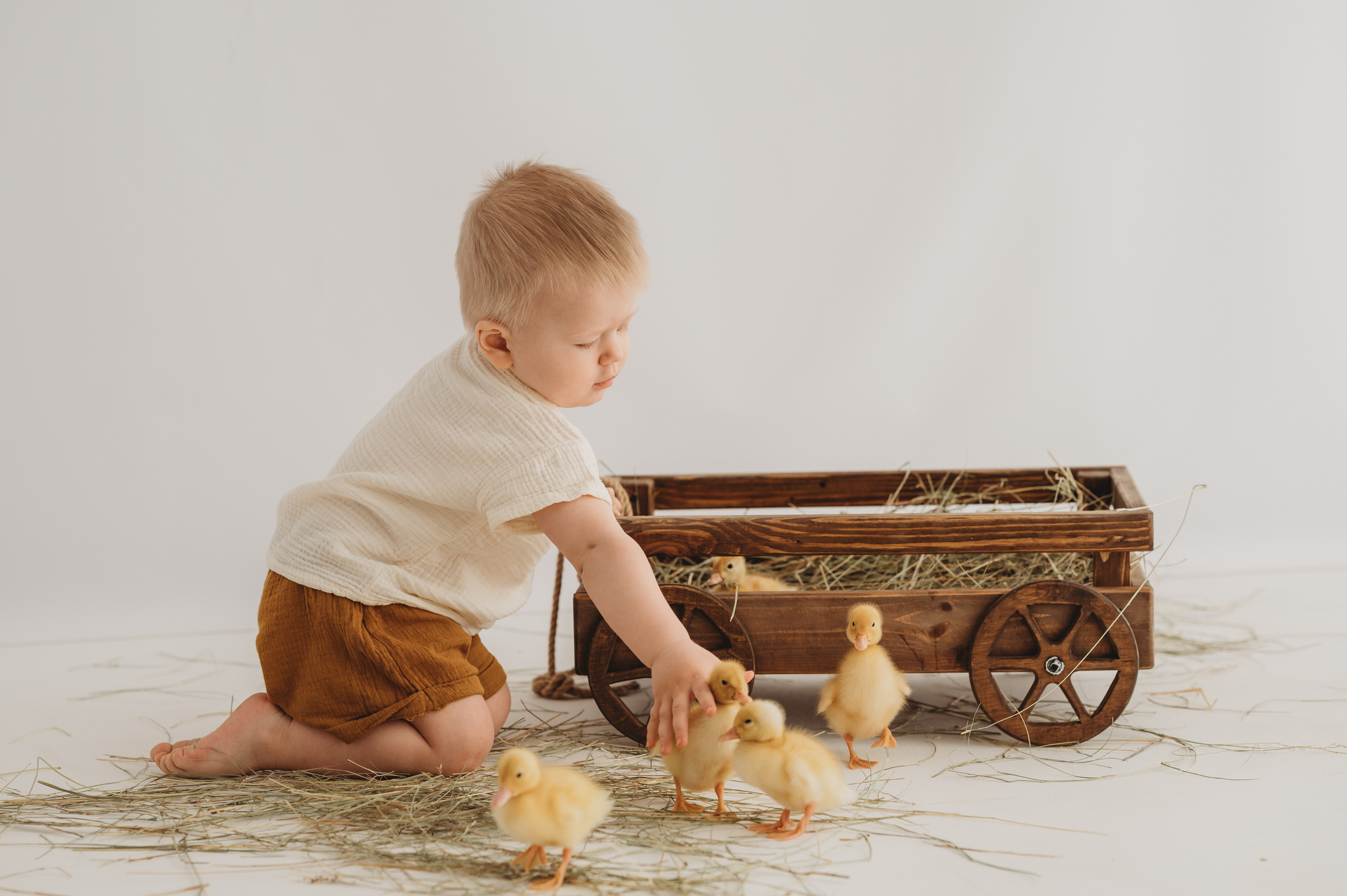 Никитка и Лерочка с утятами. Детский и семейный фотограф Ирина Гладких