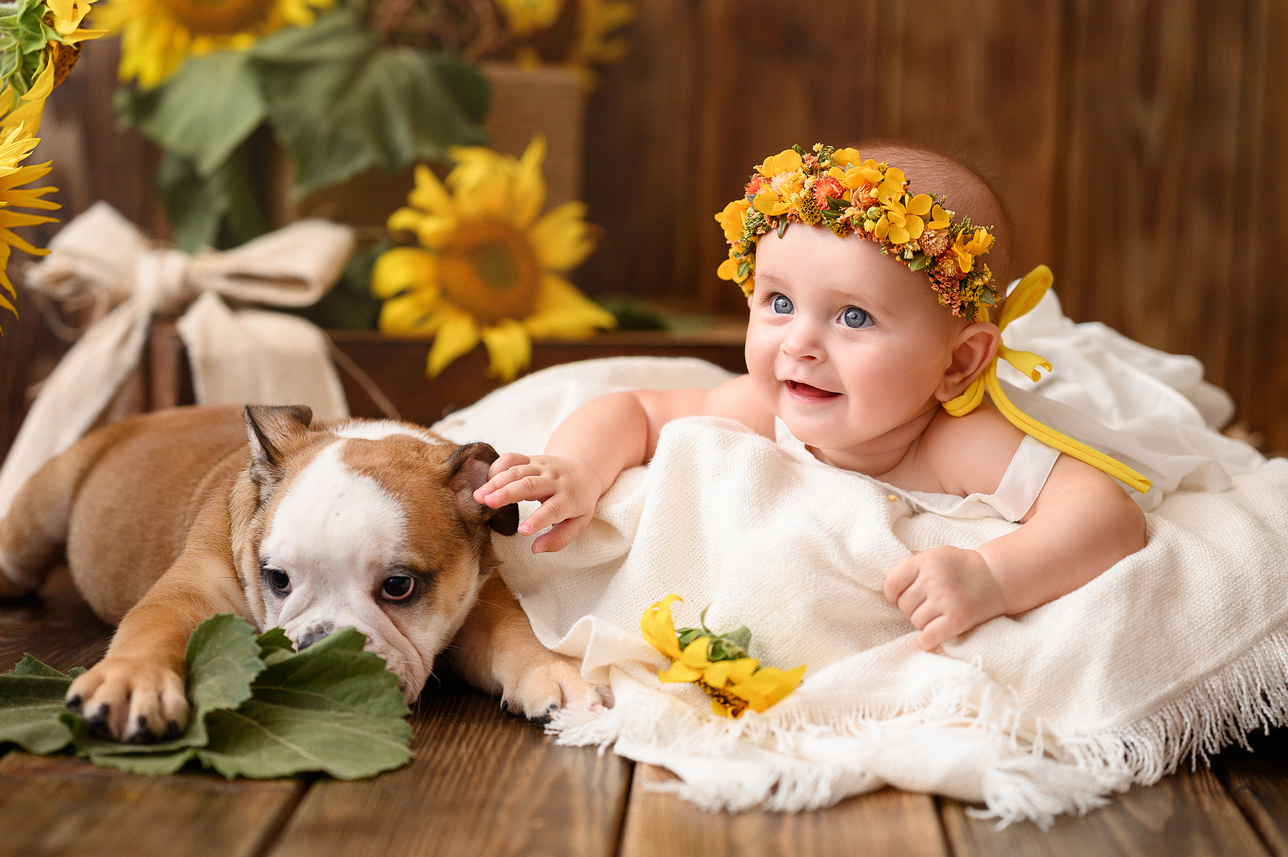 Евочка и подсолнухи. Детский и семейный фотограф Ирина Гладких