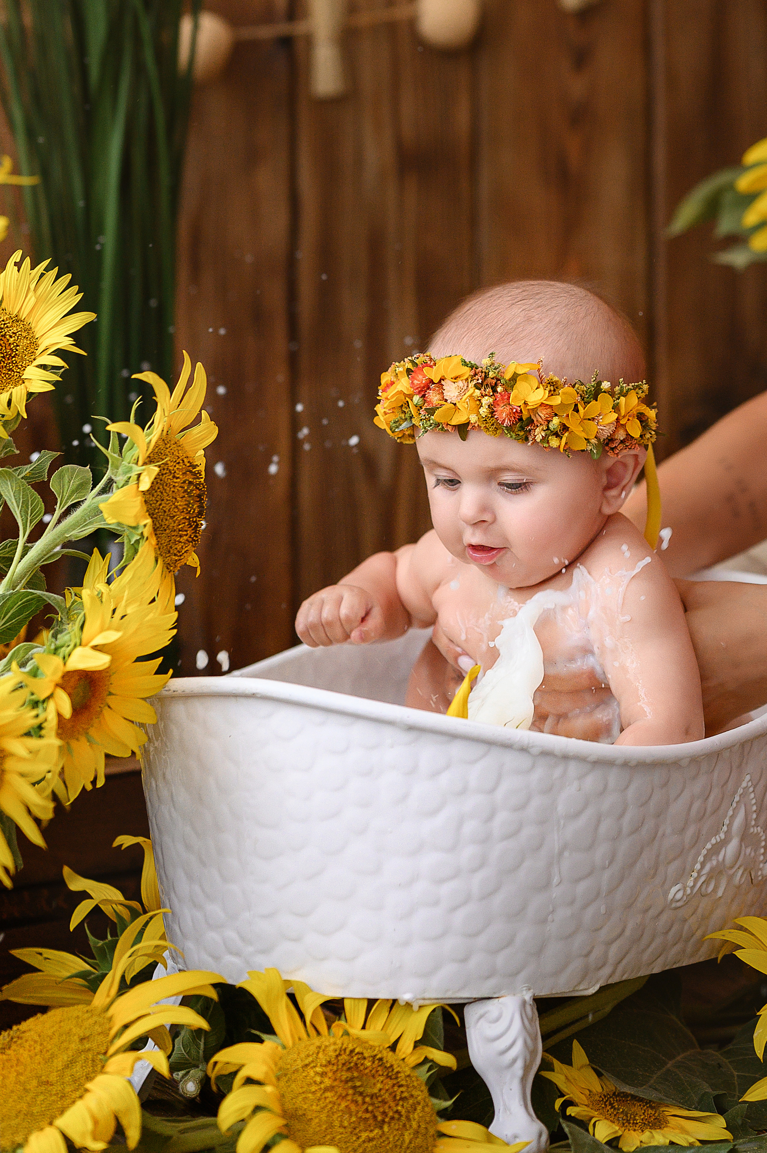 Евочка и подсолнухи. Детский и семейный фотограф Ирина Гладких