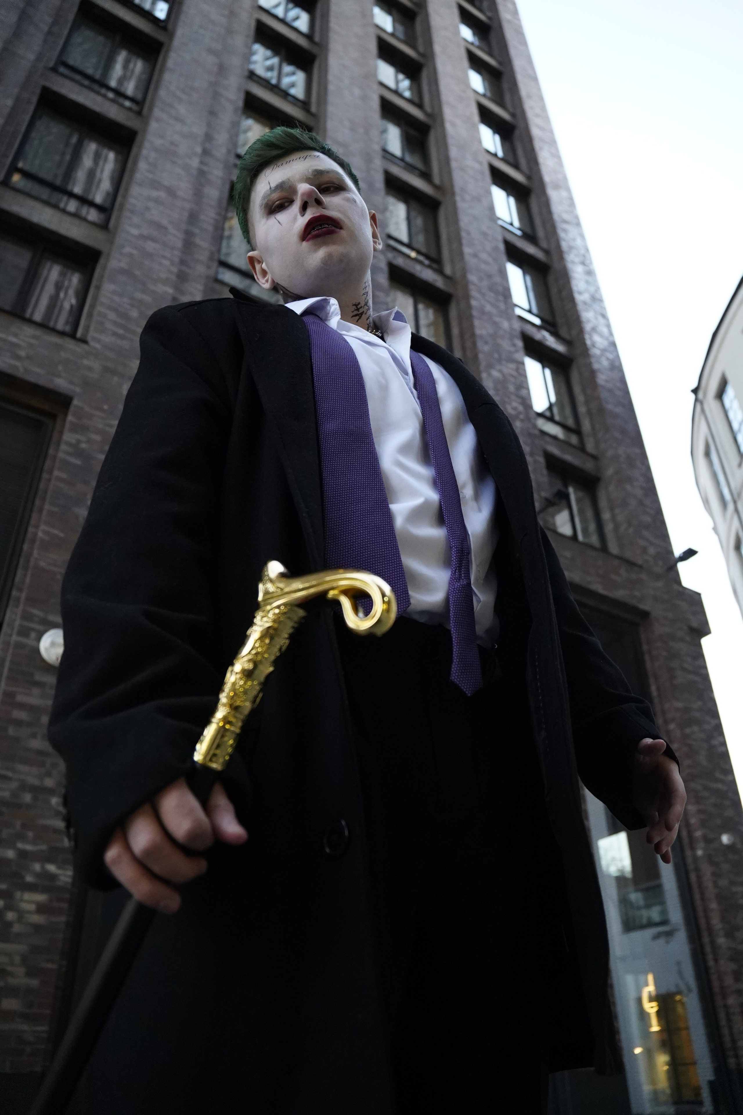 Харли и Джокер. Фотограф и видеограф Елена Суетенкова, Создание ярких воспоминаний о важных событиях. Москва, Россия, Мир