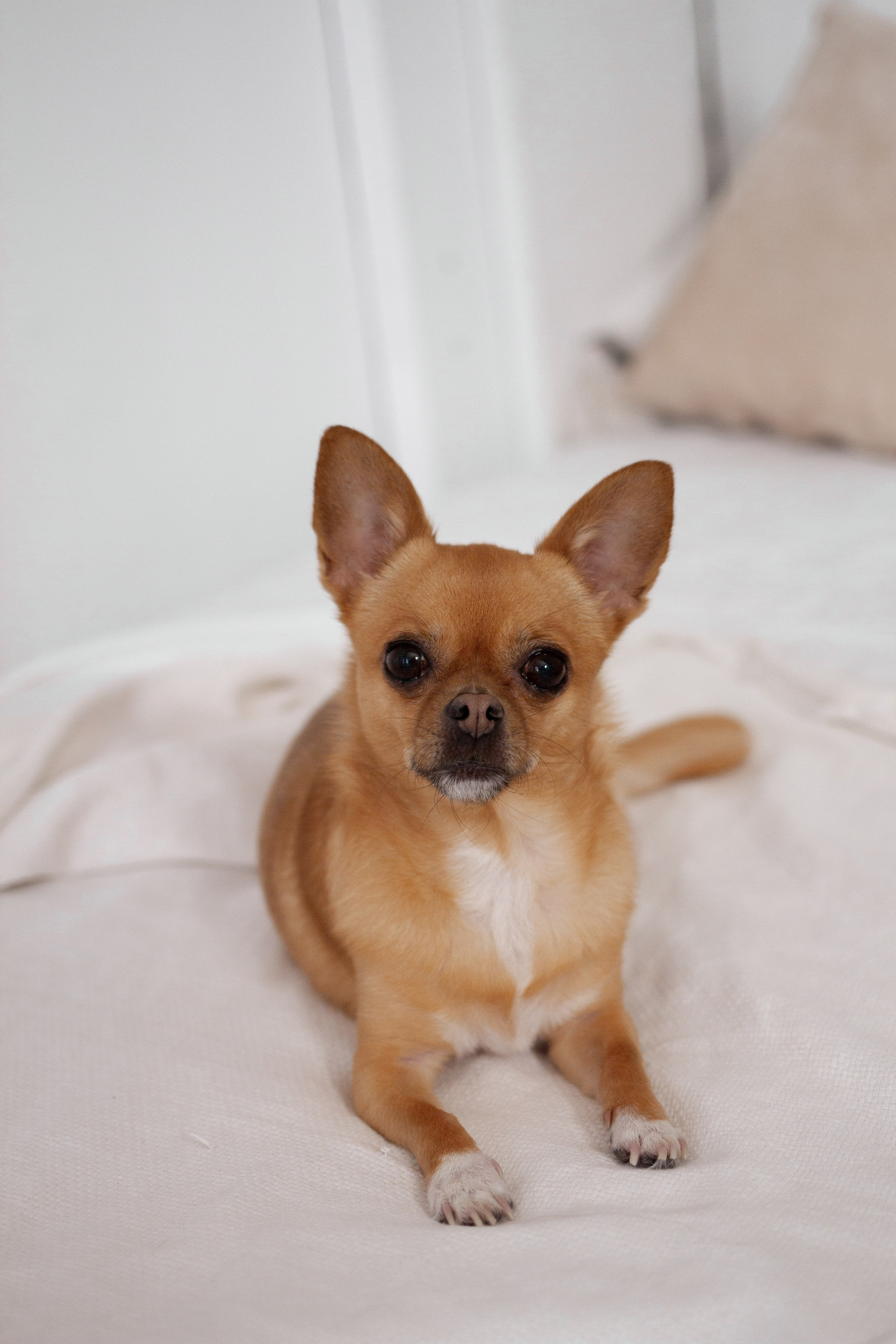 К & С & Мотя. Фотограф Екатеринбург Елена Минина