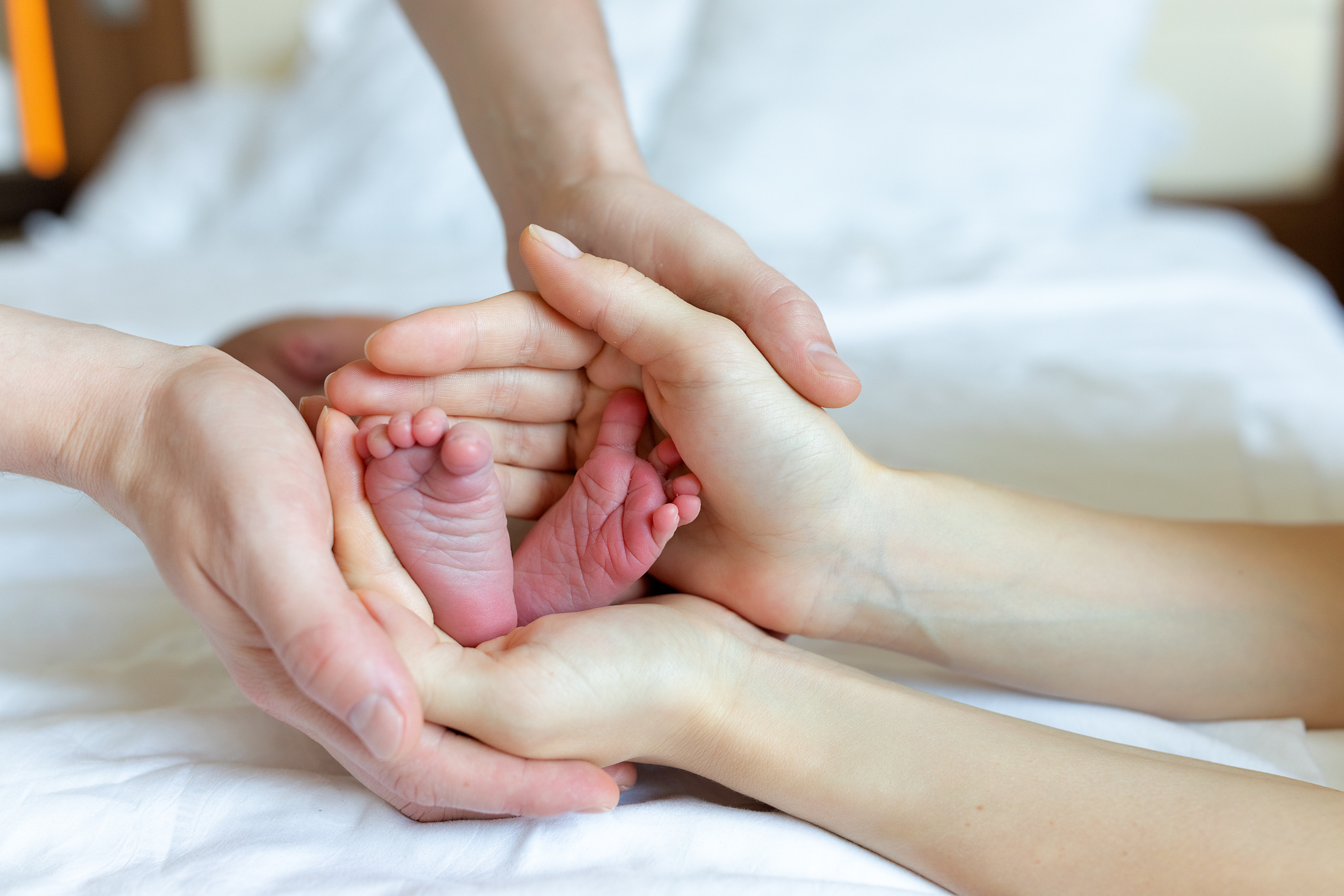 11 июля 2021. Фотограф в роддоме Сестрорецком г. Санкт-Петербург Банасиковская Ксения